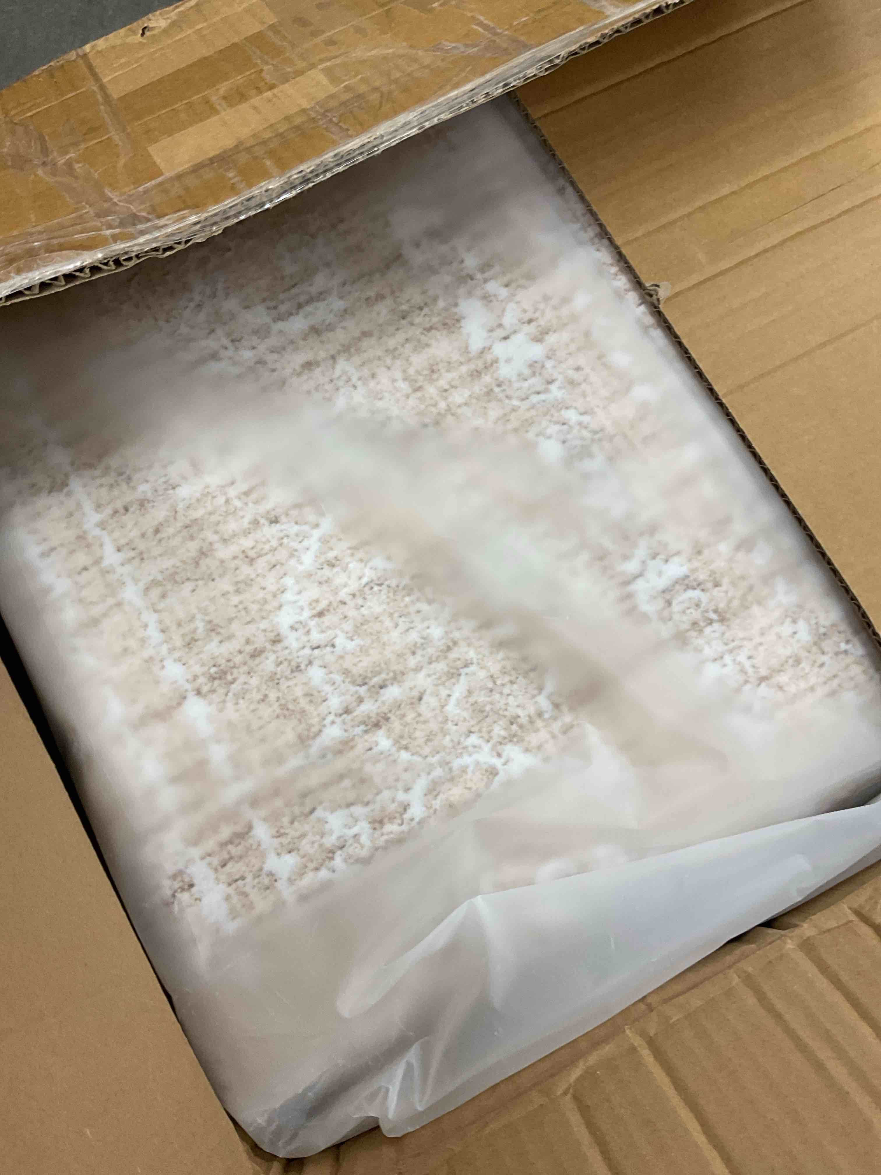 https://s3.amazonaws.com/lotting-images-prod/EmanualPiazza/PPE3664085_1753292301049.jpeg