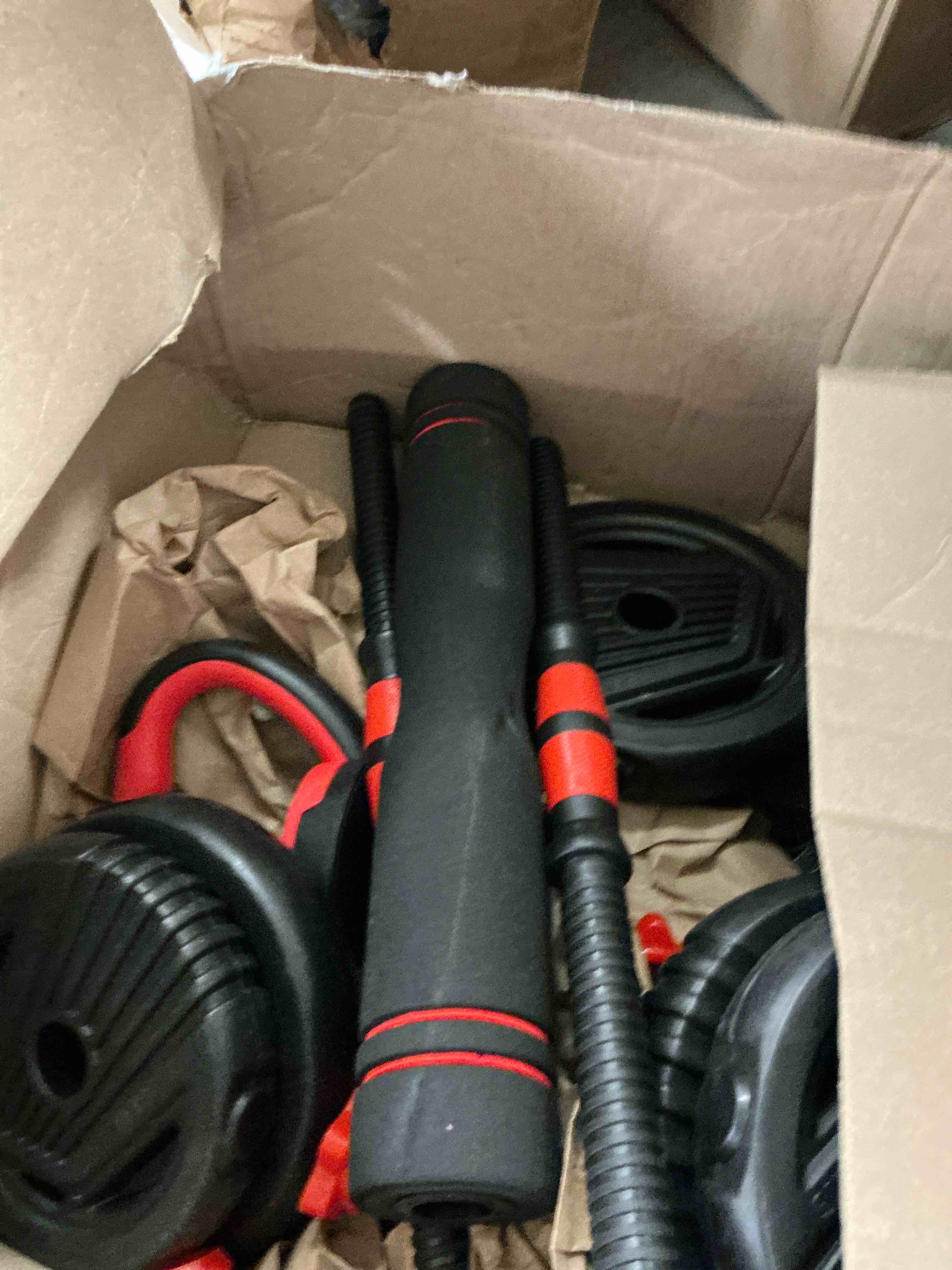 https://s3.amazonaws.com/lotting-images-prod/EmanualPiazza/PPE3664211_1756912264905.jpeg
