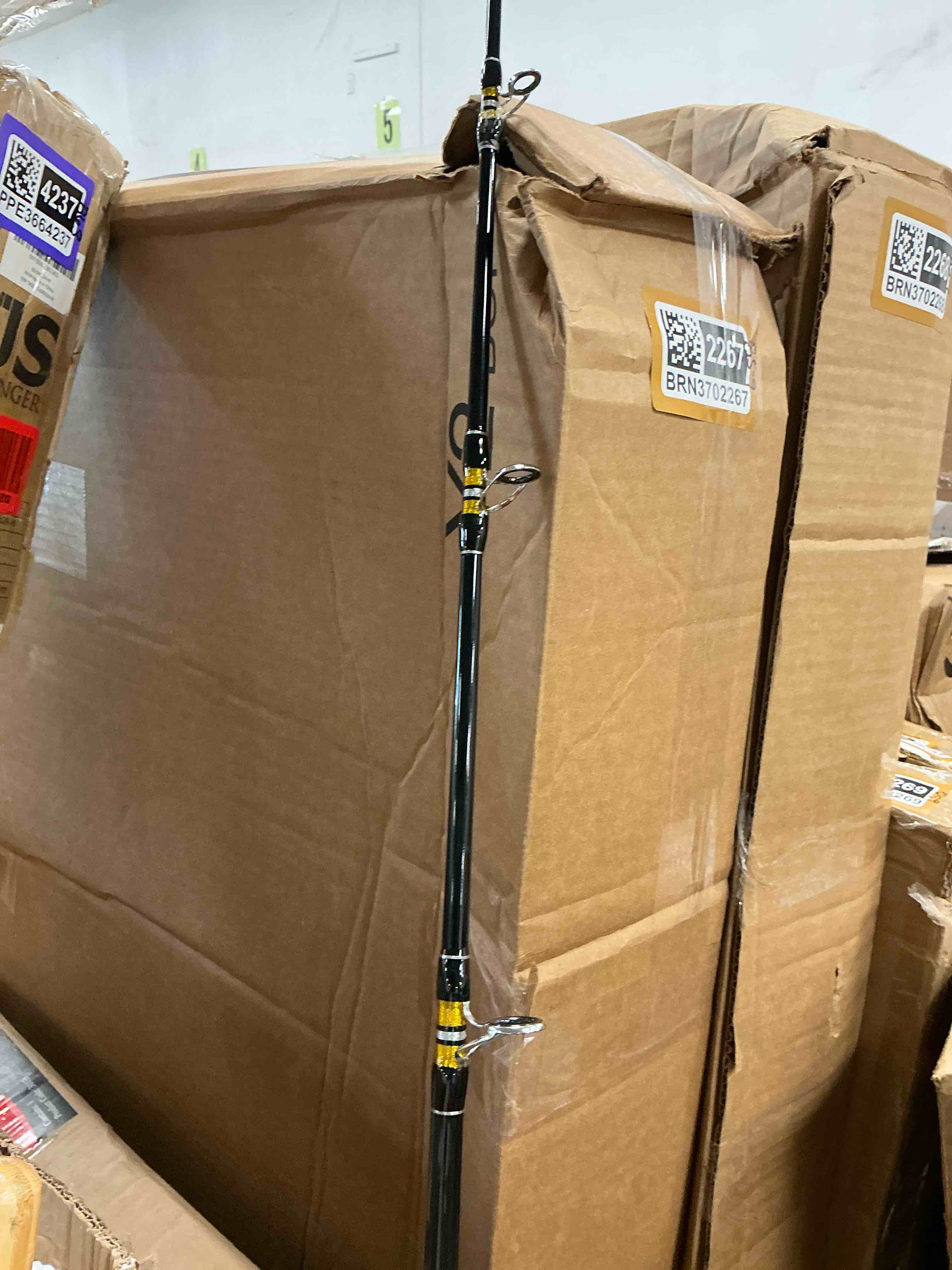 https://s3.amazonaws.com/lotting-images-prod/EmanualPiazza/PPE3664232_1756910041668.jpeg