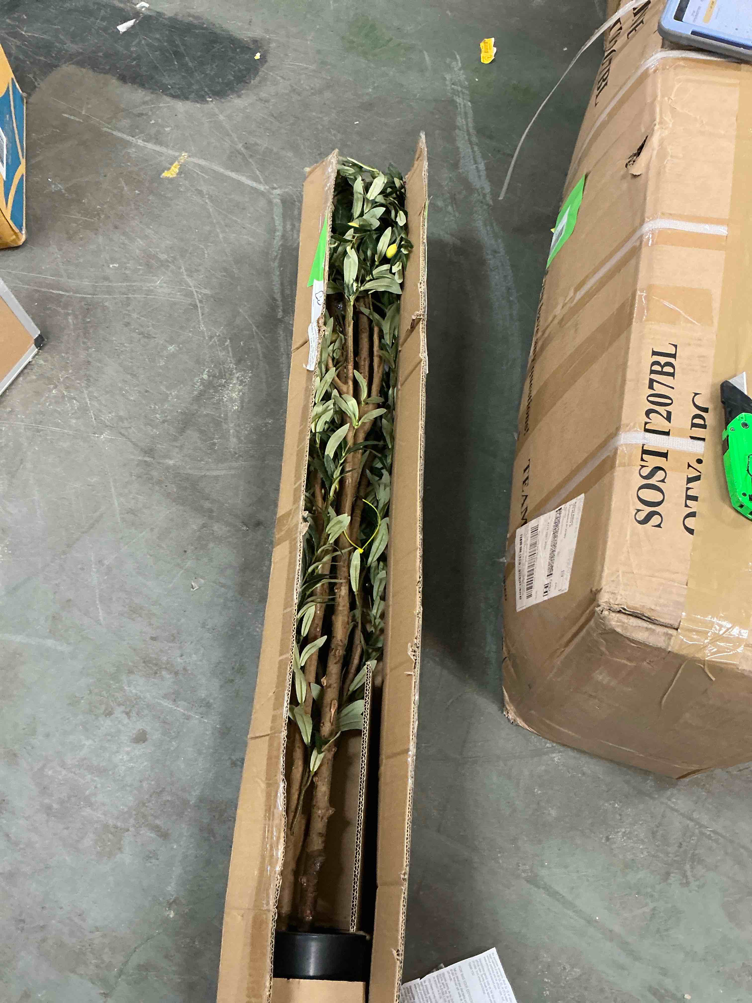 https://s3.amazonaws.com/lotting-images-prod/EmanualPiazza/PPE3664416_1757170144622.jpeg