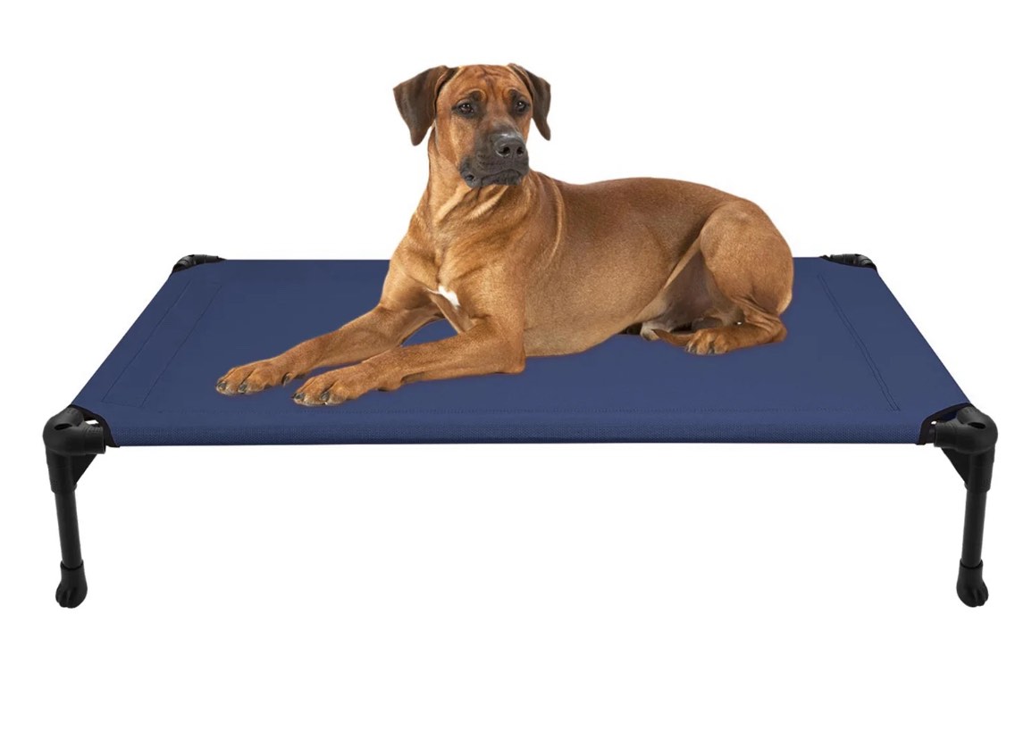 Veehoo Cooling Elevated Dog Bed, Portable Raised Pet Cot with Washable Mesh, Large, Blue