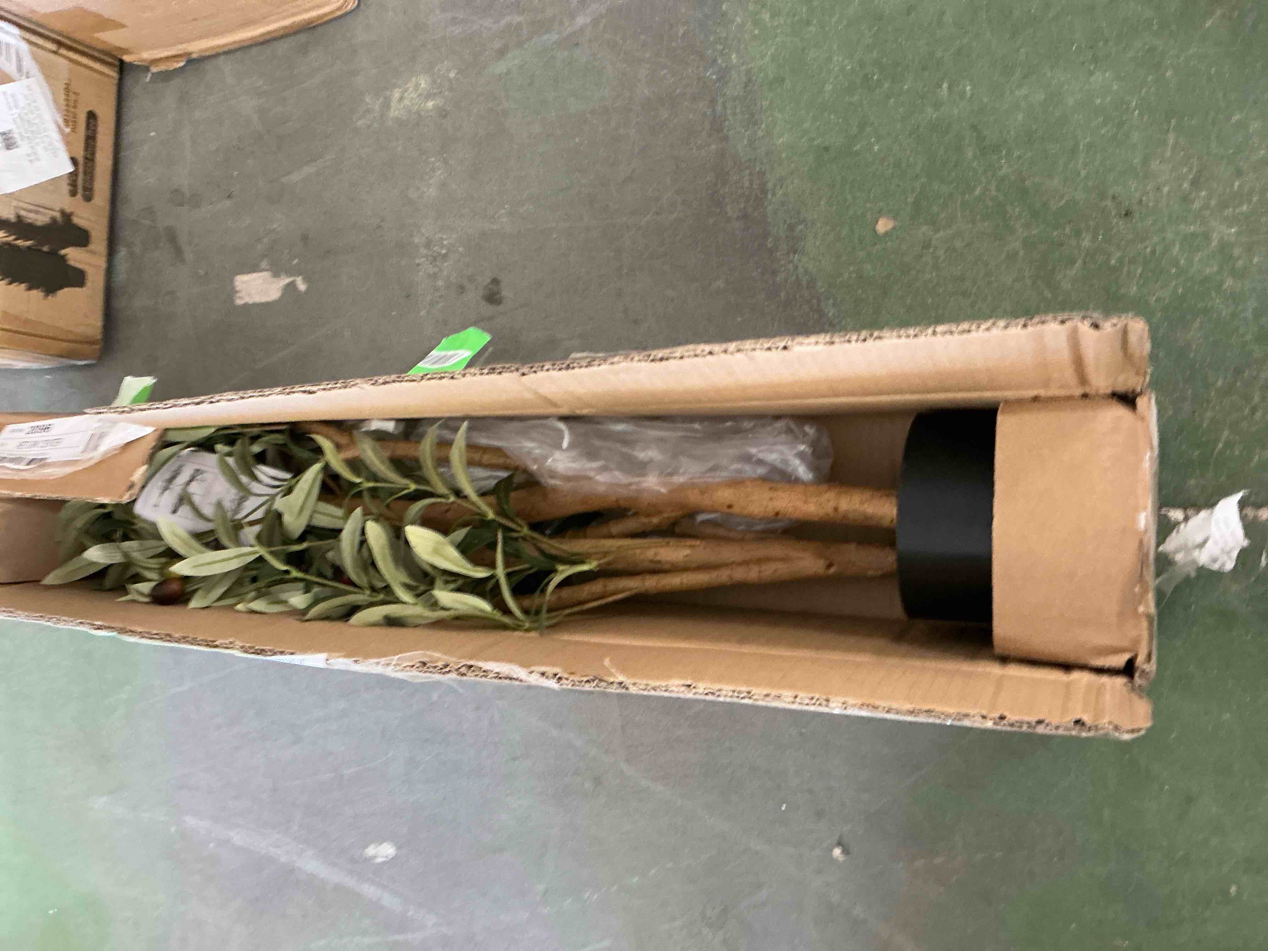https://s3.amazonaws.com/lotting-images-prod/EmanualPiazza/PPE3665006_1761242768758.jpeg