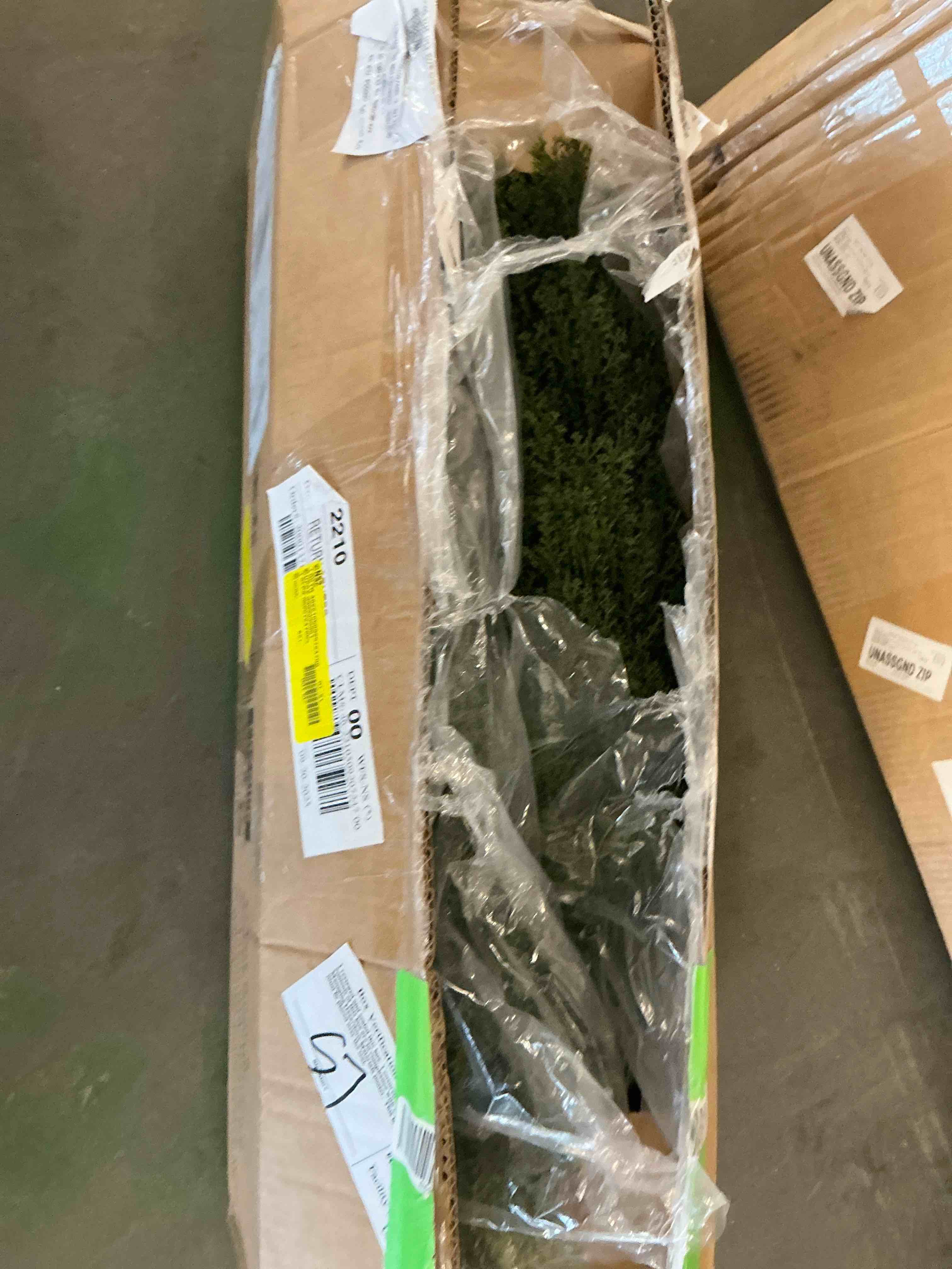 https://s3.amazonaws.com/lotting-images-prod/EmanualPiazza/PPE3665182_1759523004907.jpeg