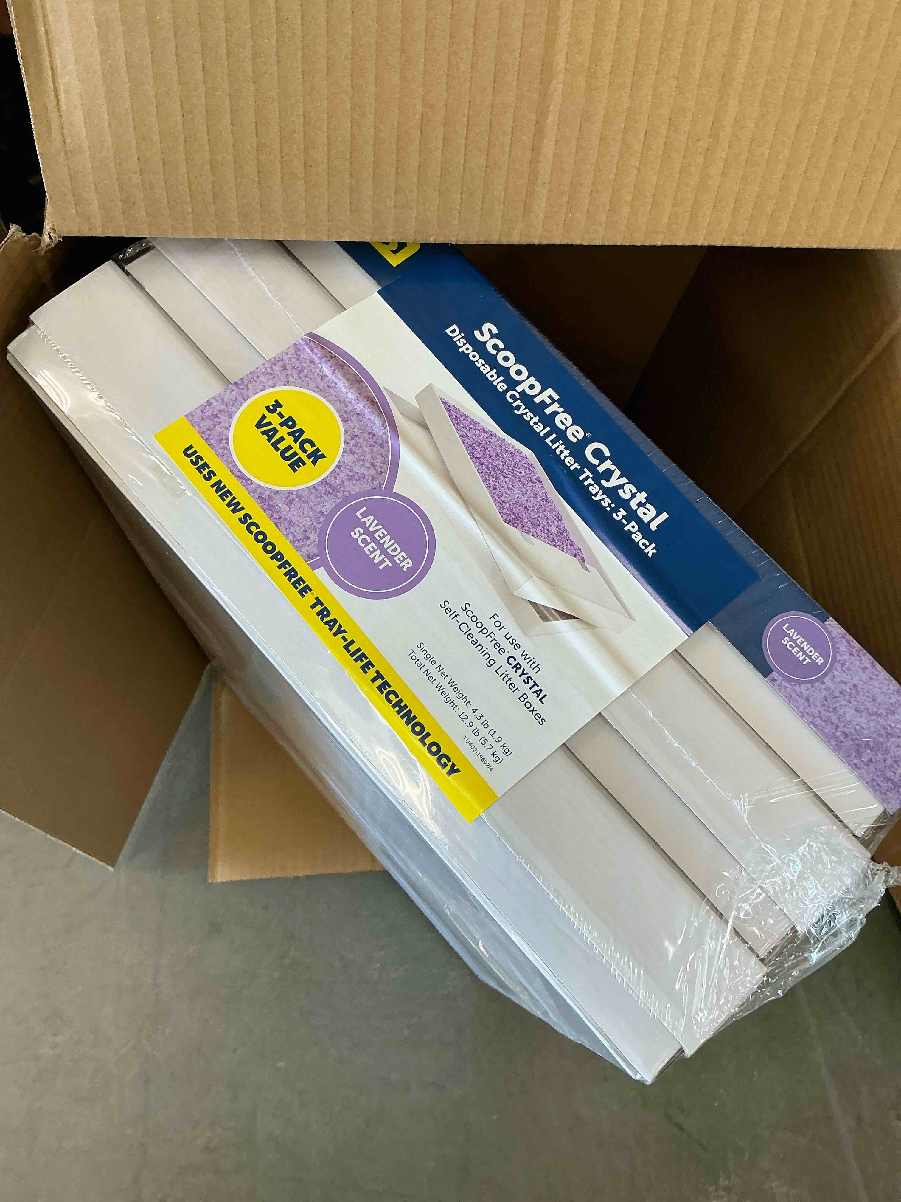 https://s3.amazonaws.com/lotting-images-prod/EmanualPiazza/PPE3665224_1759584793644.jpeg