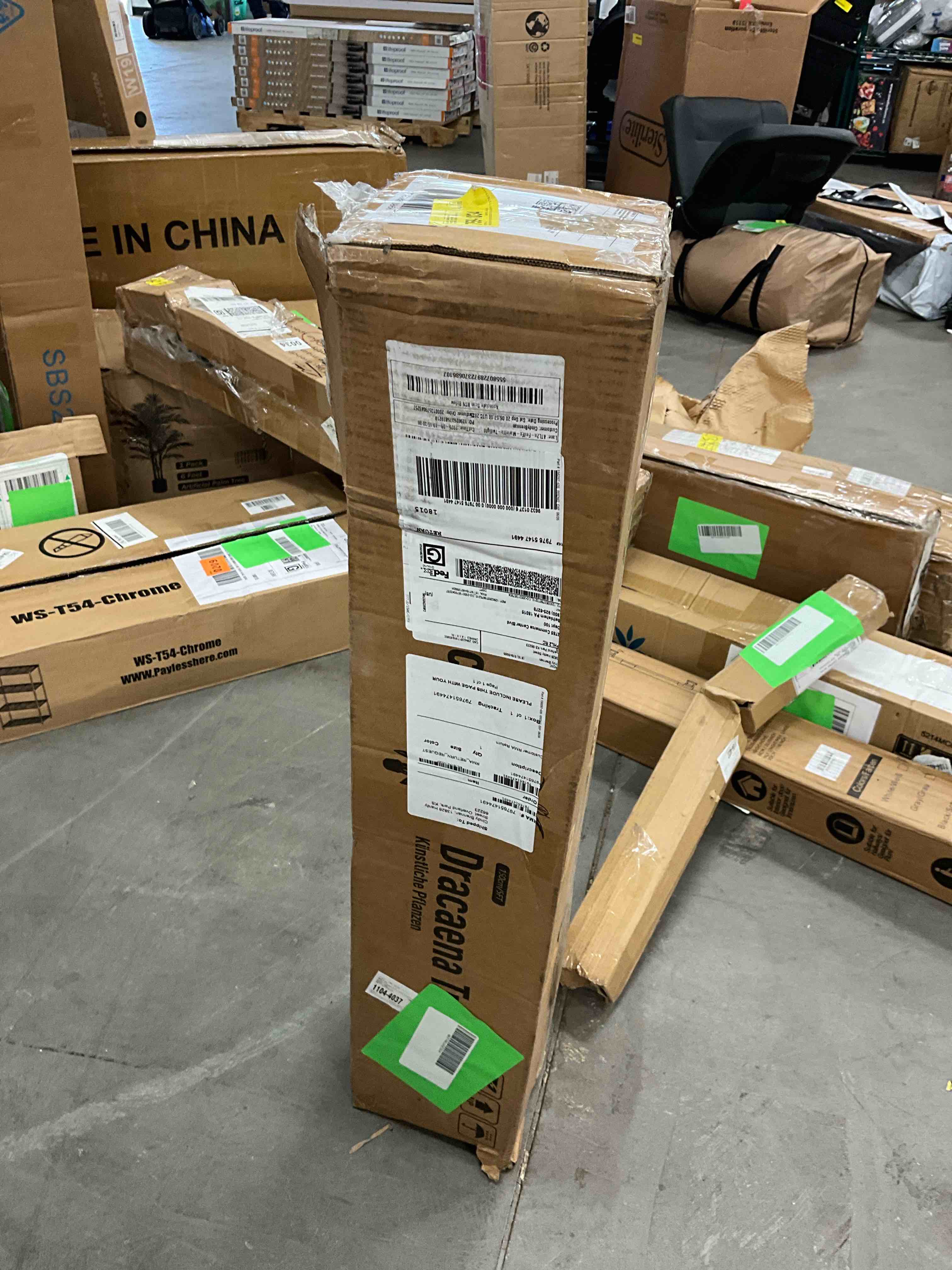 https://s3.amazonaws.com/lotting-images-prod/EmanualPiazza/PPE3665559_1760119756132.jpeg