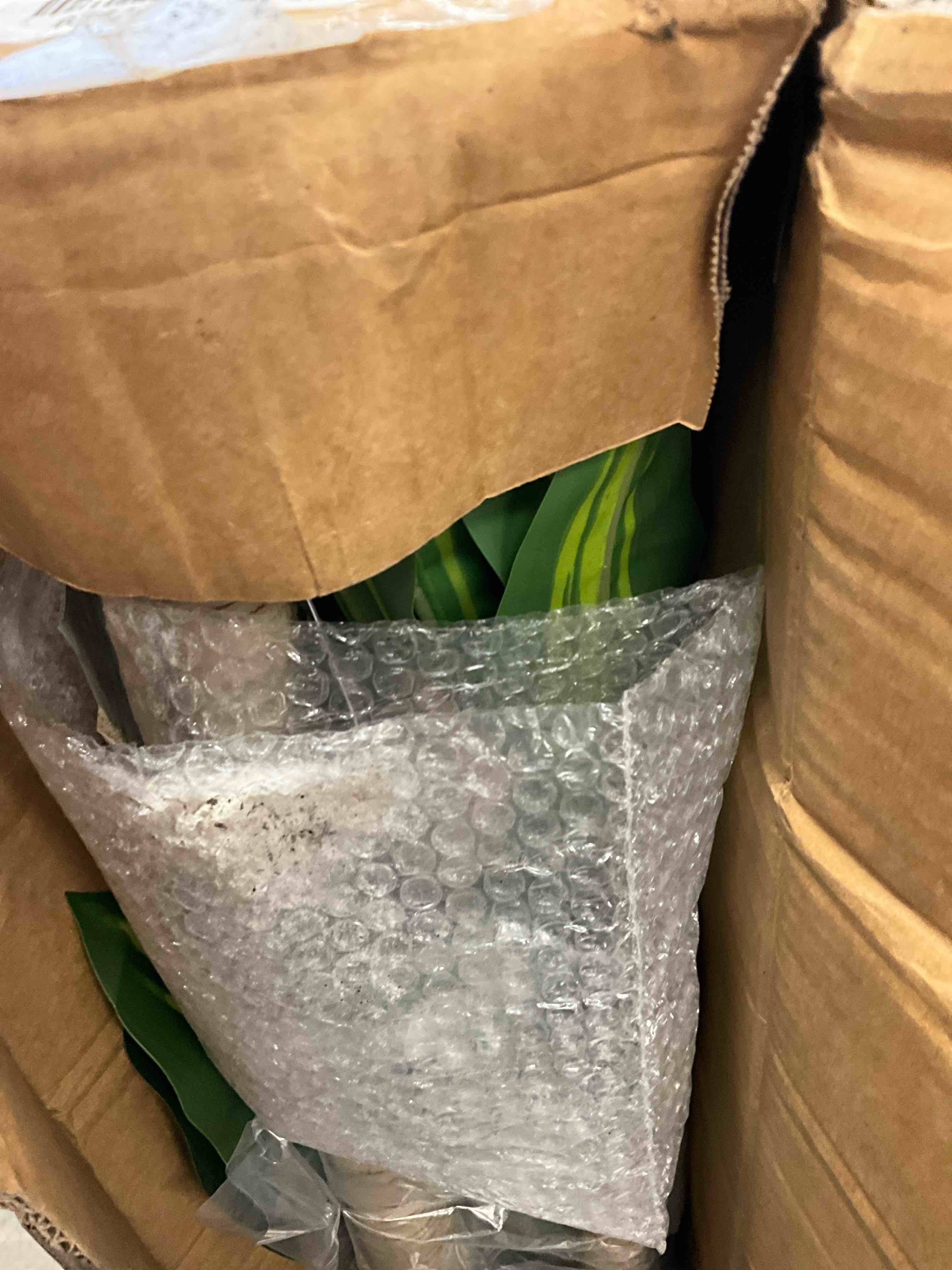 https://s3.amazonaws.com/lotting-images-prod/EmanualPiazza/PPE3665559_1760119769016.jpeg