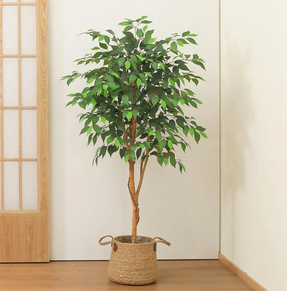 DR.Planzen 5 feet Artificial Ficus Tree, Tall Lifelike Greenery with Natural Wood Trunk for Living Room, office floor and corner decor