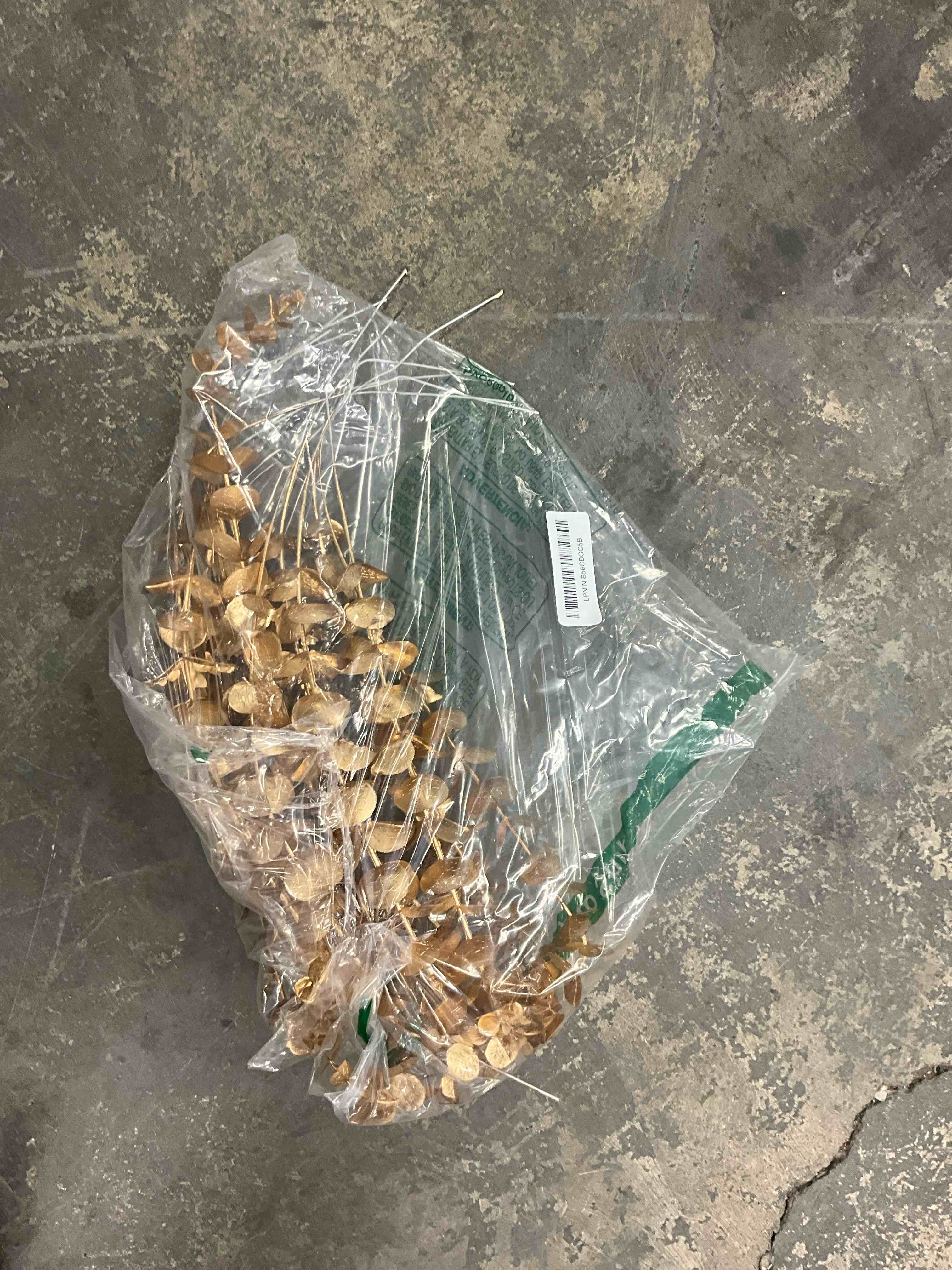 https://s3.amazonaws.com/lotting-images-prod/EmanualPiazza/PPE3668247_1751977011273.jpeg