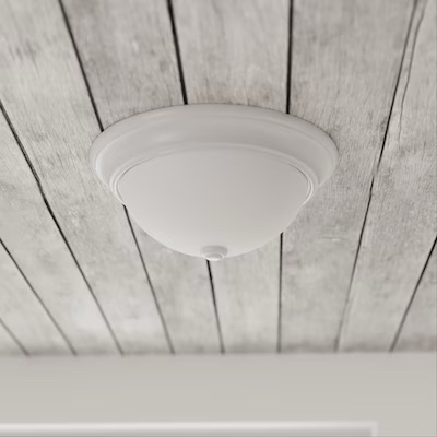 Project Source 2 -Light 13-in Gloss White Flush Mount Light-incomplete