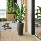 https://s3.amazonaws.com/lotting-images-prod/EmanualPiazza/PPE3668799_1753733127777.jpeg