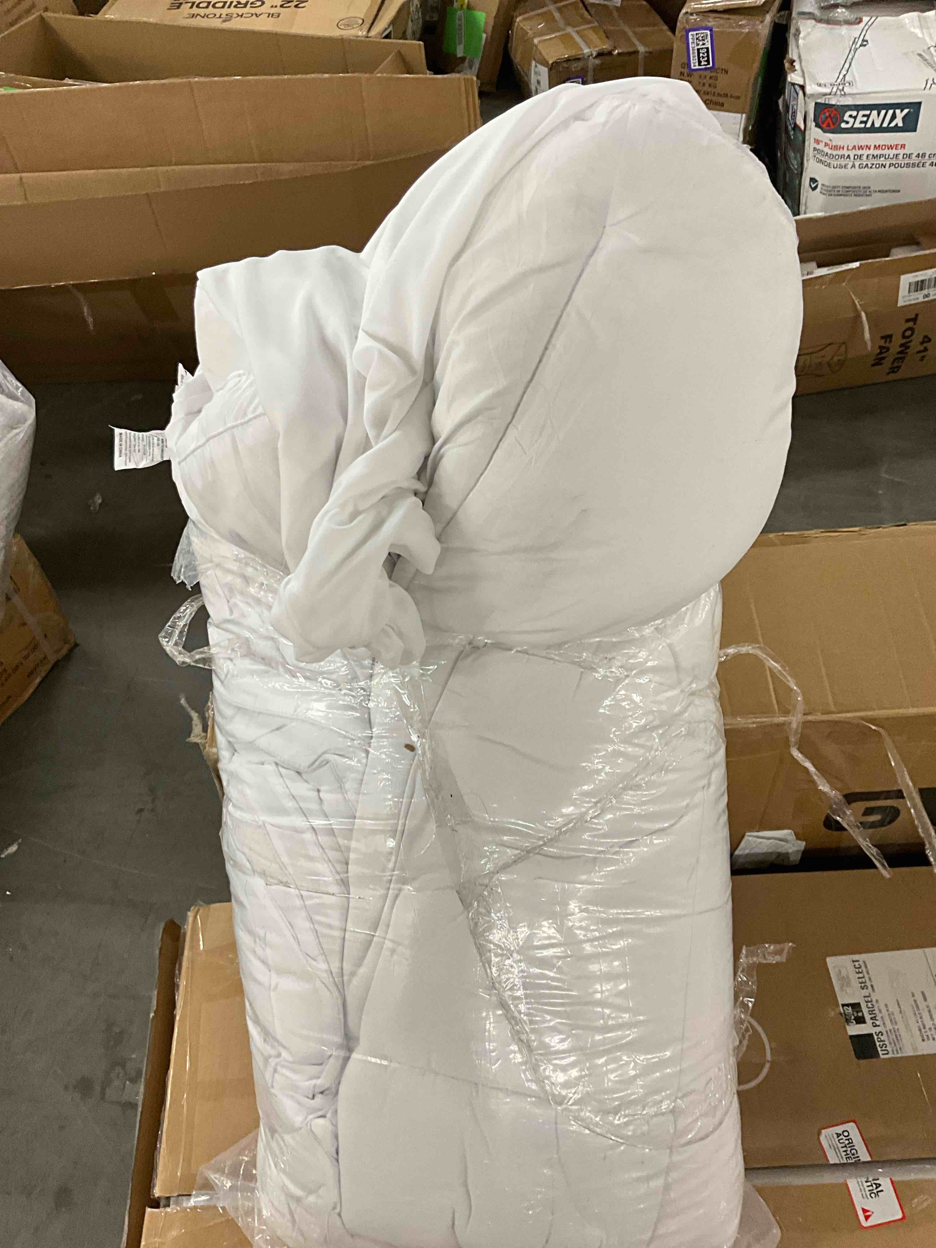https://s3.amazonaws.com/lotting-images-prod/EmanualPiazza/PPE3669214_1754683723320.jpeg