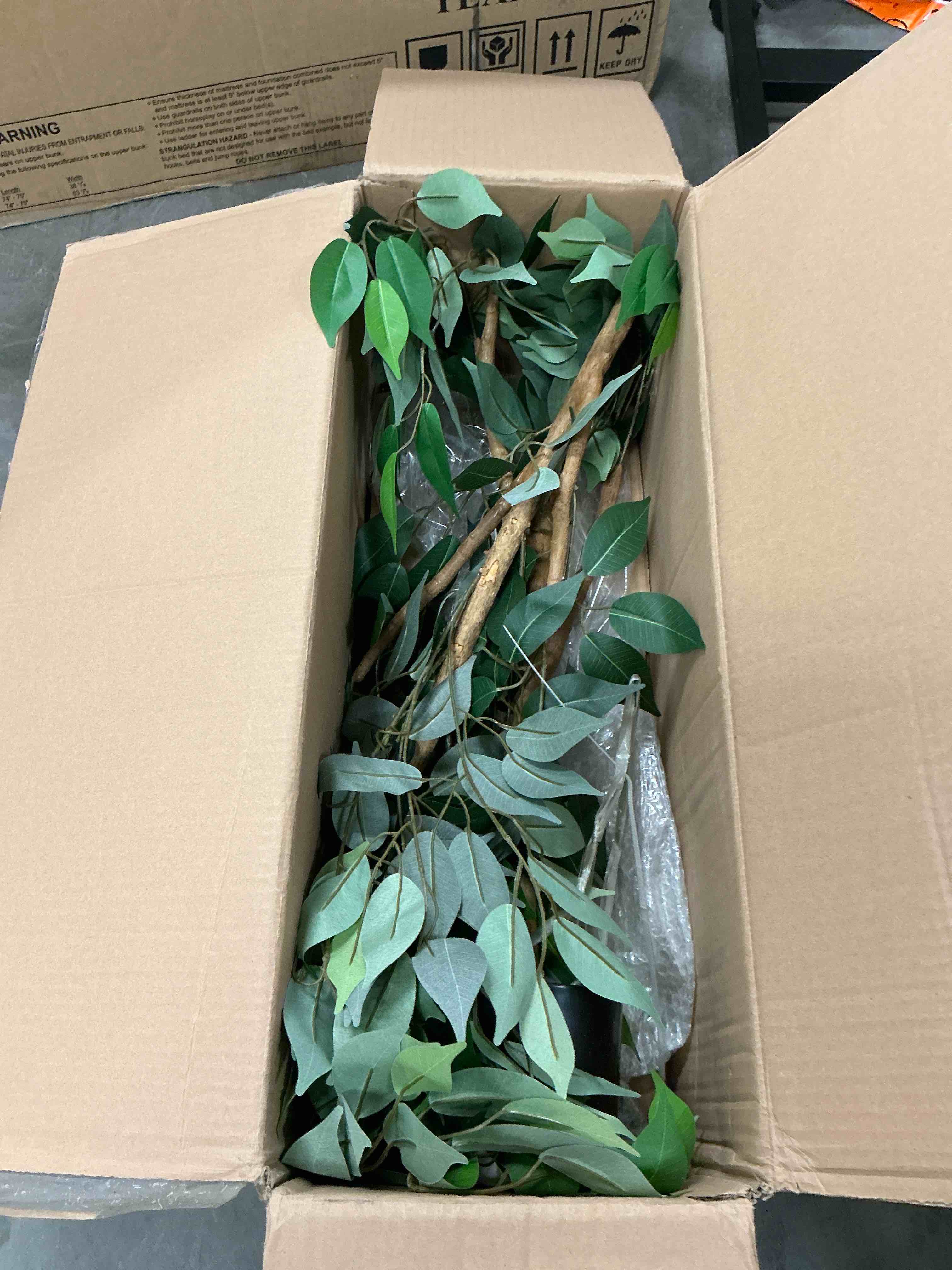 https://s3.amazonaws.com/lotting-images-prod/EmanualPiazza/PPE3669668_1755955755879.jpeg