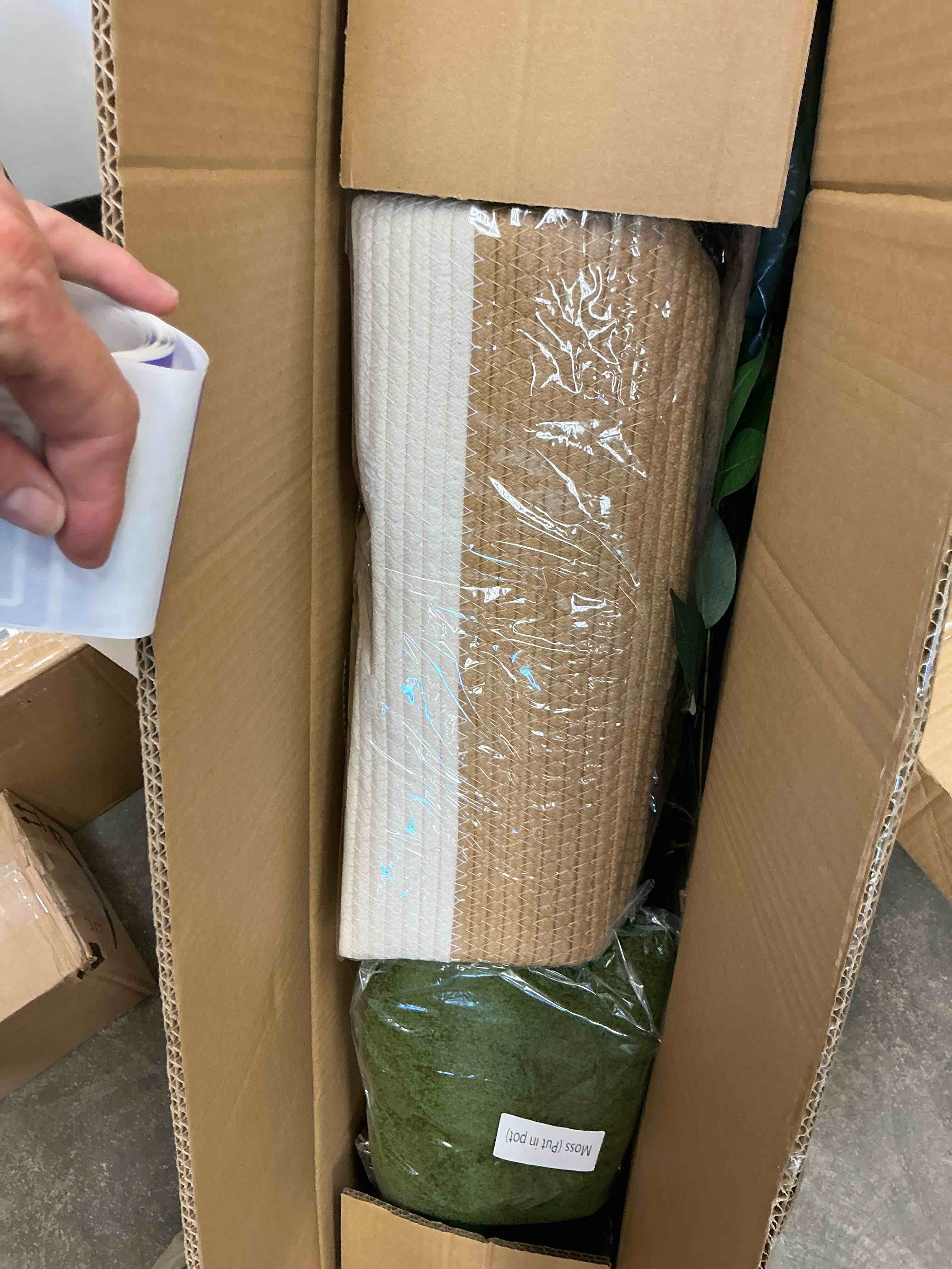 https://s3.amazonaws.com/lotting-images-prod/EmanualPiazza/PPE3669729_1756134810087.jpeg