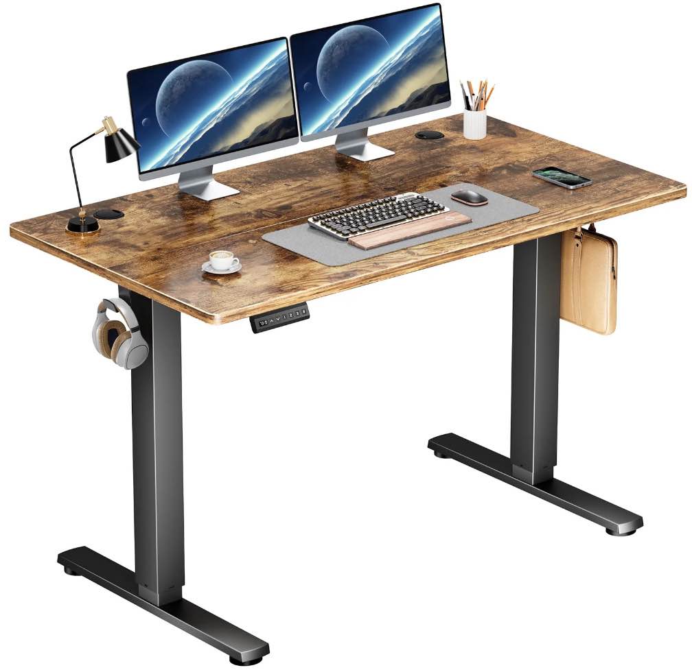 edx Electric Standing Desk, Height Adjustable Desk, 48 x 24 Inches Ergonomic Stand up Desk with Memory Preset and T-Shaped Metal Bracket for Home Office