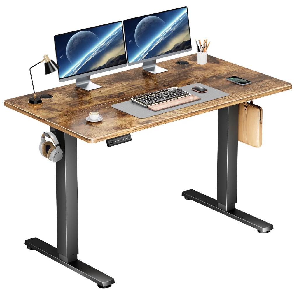 edx Electric Standing Desk, Height Adjustable Desk, 48 x 24 Inches Ergonomic Stand up Desk with Memory Preset and T-Shaped Metal Bracket for Home Office