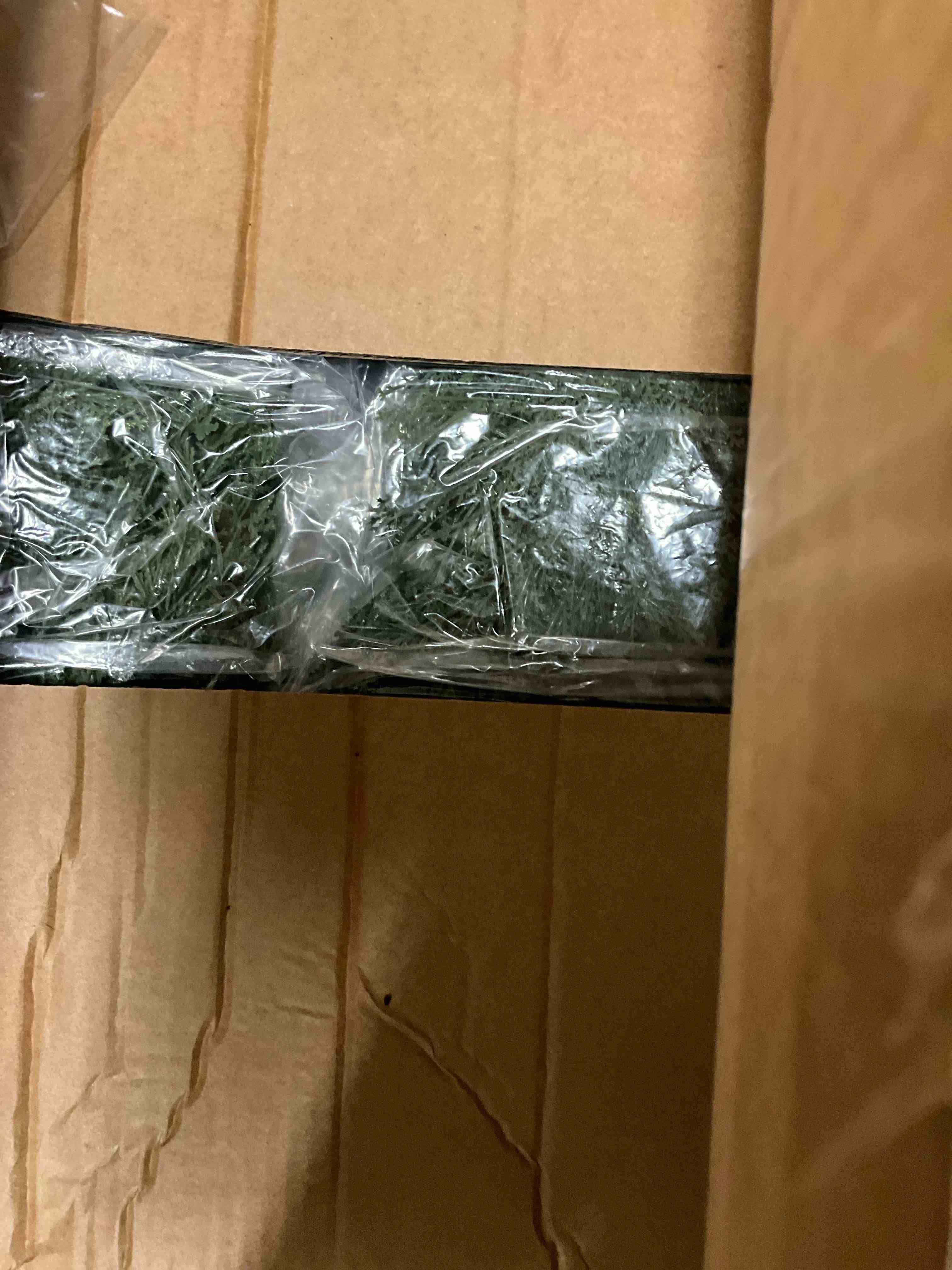 Condition photo showing New/Like New for Artificial Cedar Tree 2 Pack 3 ft Outdoor Artificial Topiary Cedar Plants Fake Tree UV Rated Potted Plants for Porch Decor Faux Pine Tree for Perfect Housewarming Gift