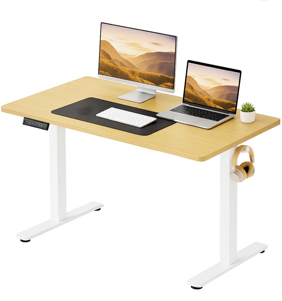 CONCETTA Electric Standing Desk, 48''x24'' Height Adjustable Desk, Home Office Desk with Electric Lift, Sit Stand Desk Workstation for Home Office, Oak