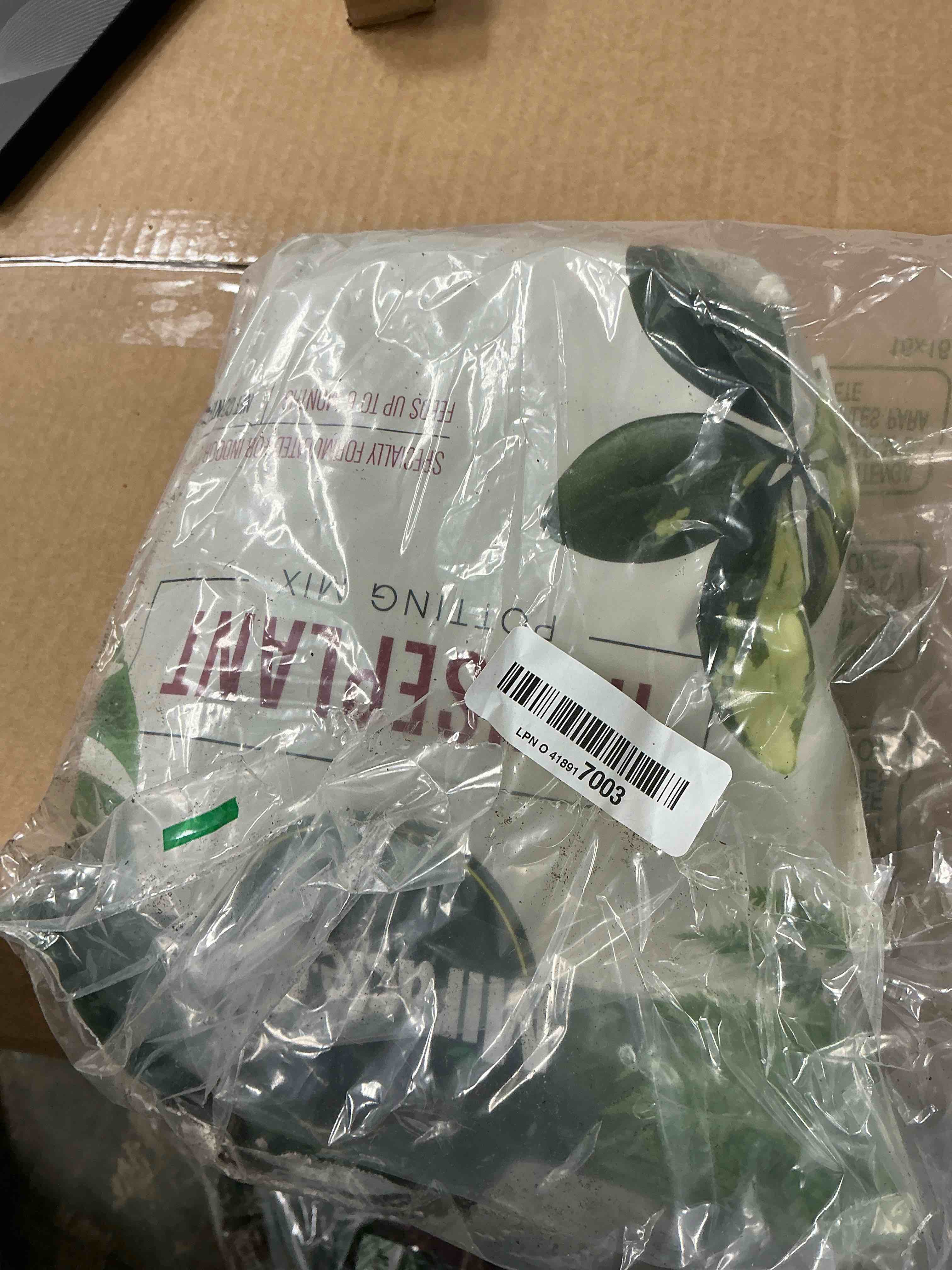 Condition photo showing Good Condition for Miracle-Gro Houseplant Potting Mix: Fertilized, Perlite Soil for Indoor Gardening, Designed to Be Less Prone to Gnats, 4 qt.