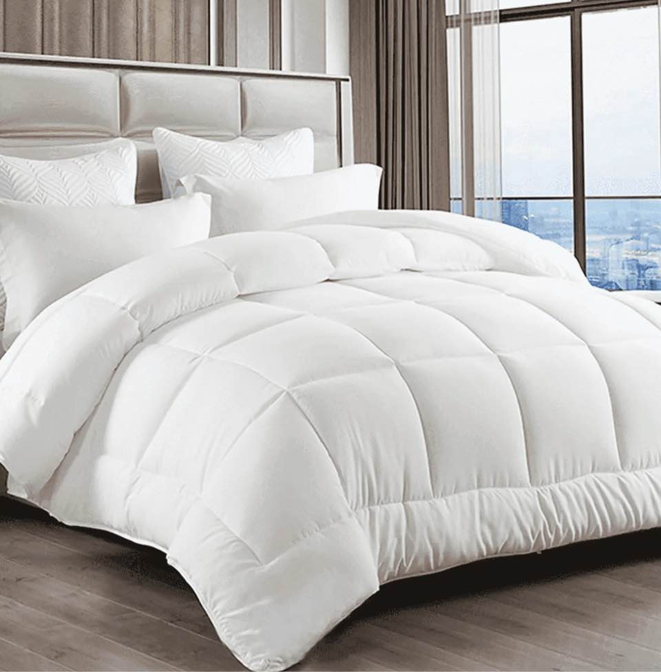 EMONIA Queen Comforter Duvet Insert, All Season Quilted Down Alternative, Hotel Luxury Fluffy Soft Cooling, Skin-friendly Machine Washable Reversible Quilted with Corner Tabs (White,88x88 inches)