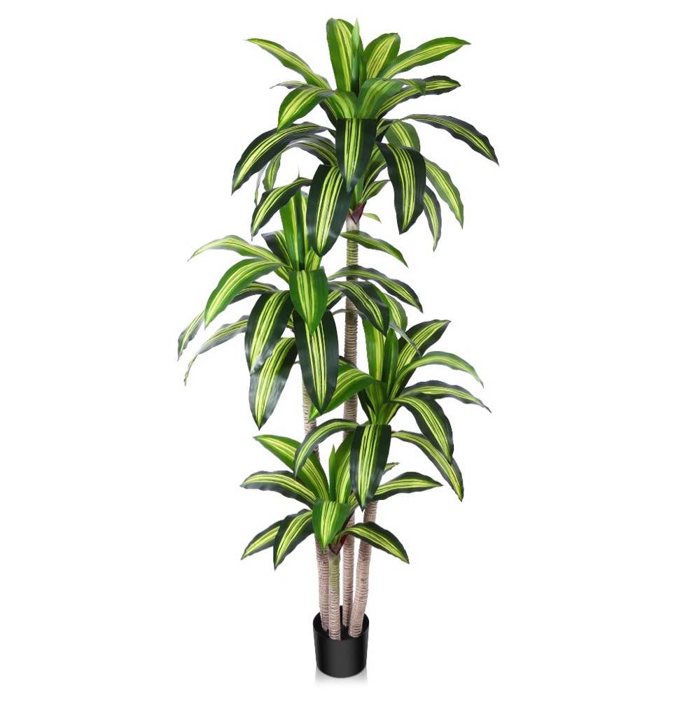 Artificial Plants, 6ft Fake Dracaena Tree in Black Plastic Pot, Faux Plants Indoor Outdoor Decor, Silk Plants for Home Decor Office Porch Patio Perfect Housewarming Gift