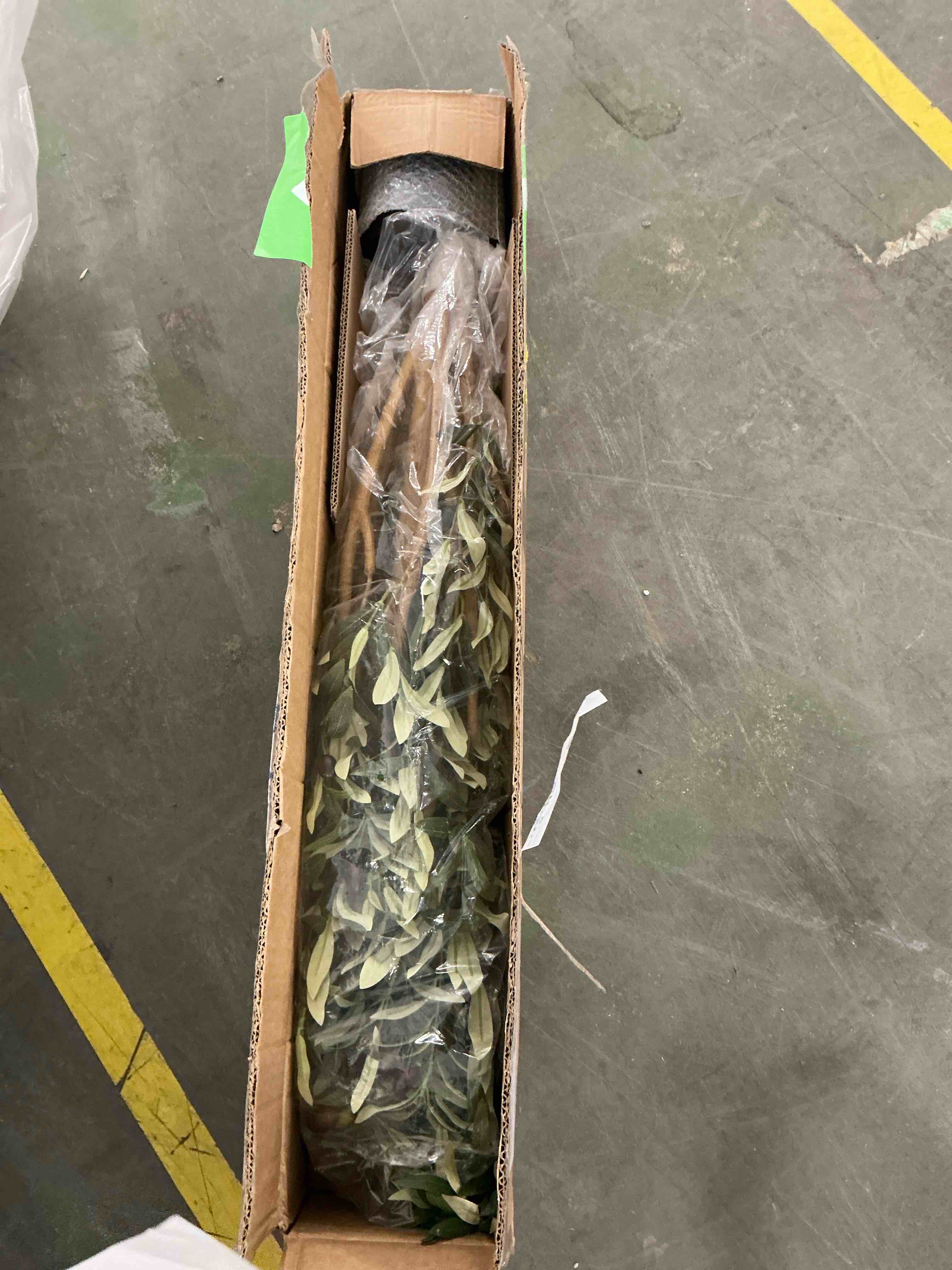 Condition photo showing New/Like New for DR.Planzen 7ft Artificial Olive Tree Indoor, Tall Faux Olive Tree, Artificial Plants with Natural Wood Trunk and Lifelike Fruits for Home Office Decor