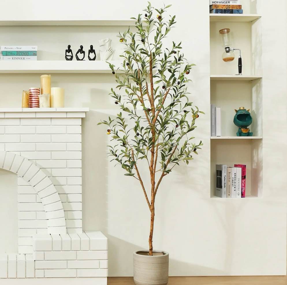 6 ft Artificial Olive Plants with Realistic Leaves and Natural Trunk, Silk Fake Olive Tree in Black Plastic Pot, Faux Olive Tree for Office Home
