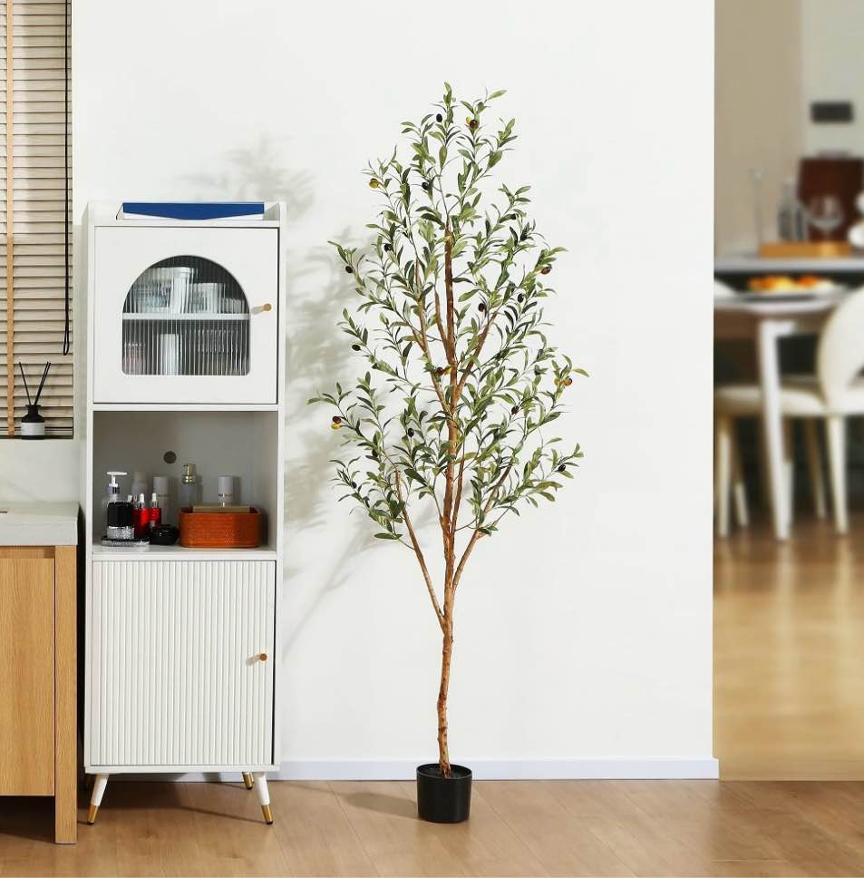 Condition photo showing New/Like New for 6 ft Artificial Olive Plants with Realistic Leaves and Natural Trunk, Silk Fake Olive Tree in Black Plastic Pot, Faux Olive Tree for Office Home