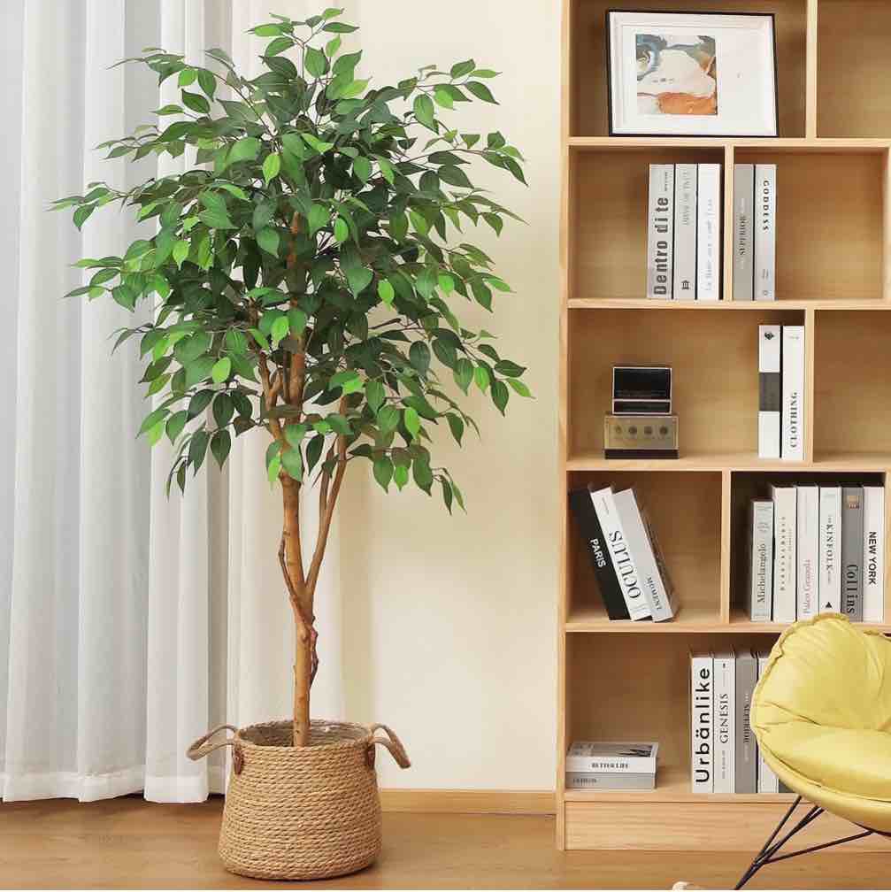 dr.planzen 5 feet artificial ficus tree, tall lifelike greenery with natural wood trunk for living room, office floor and corner decor