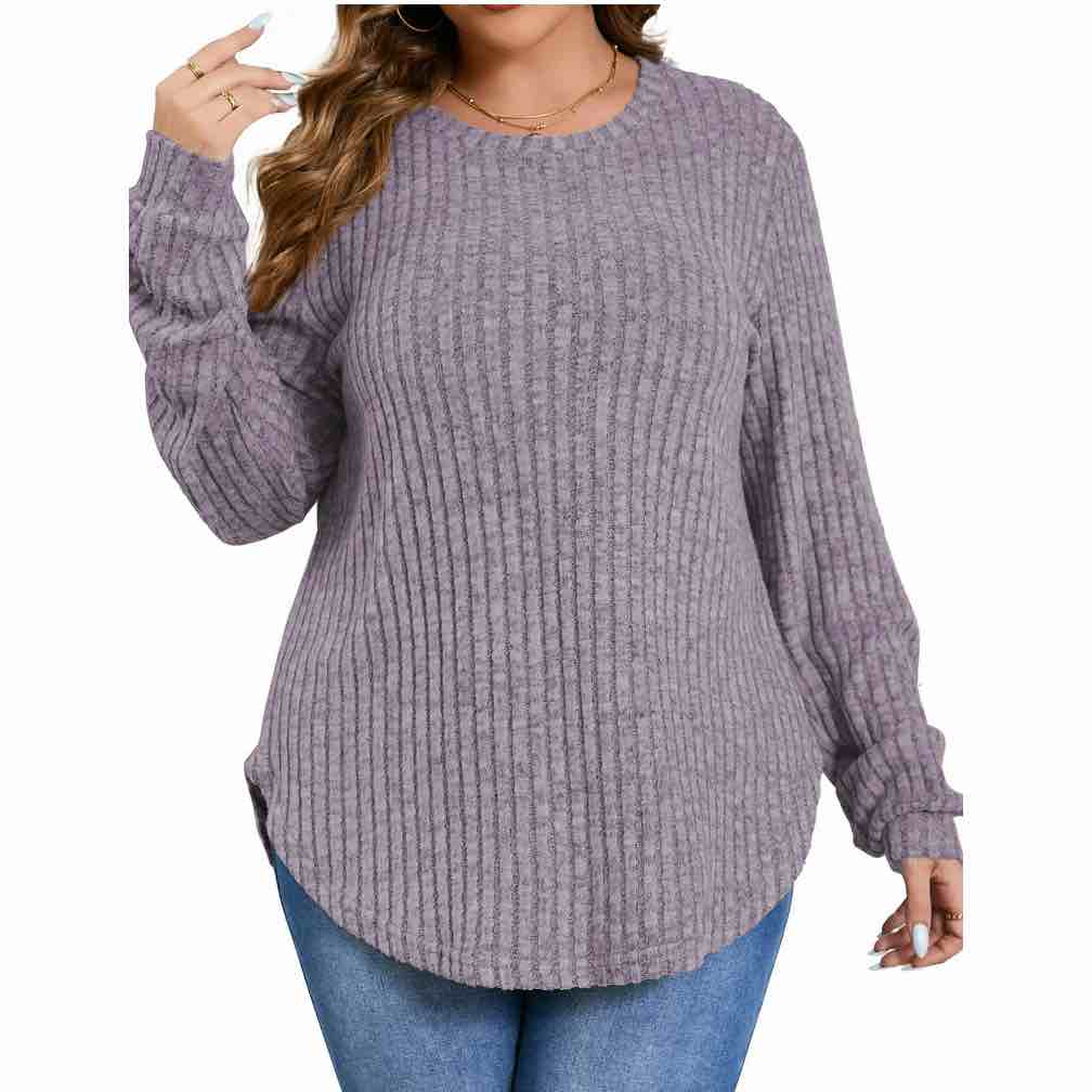 Fantaslook Womens 2XL Plus Size Tops Crewneck Long Sleeve Shirts Loose Tunic Tops Curved Hem Fall Pullover