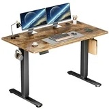 edx Electric Standing Desk, Height Adjustable Desk, 48 x 24 Inches Ergonomic Stand up Desk with Memory Preset and T-Shaped Metal Bracket for Home Office