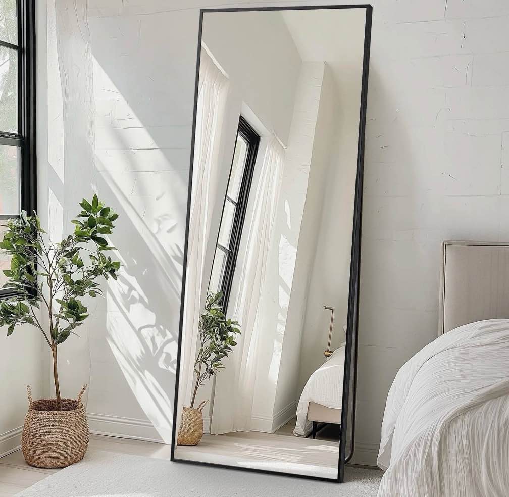 CONCETTA 71"x26" Rectangle Full Length Mirror, Full Body Standing Mirror Floor Mirror, Black