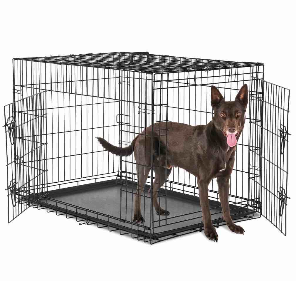 CONCETTA 36 inch Double-Door Folding Dog Crate, Portable Small Cage with Divider, Leak-Proof Tray