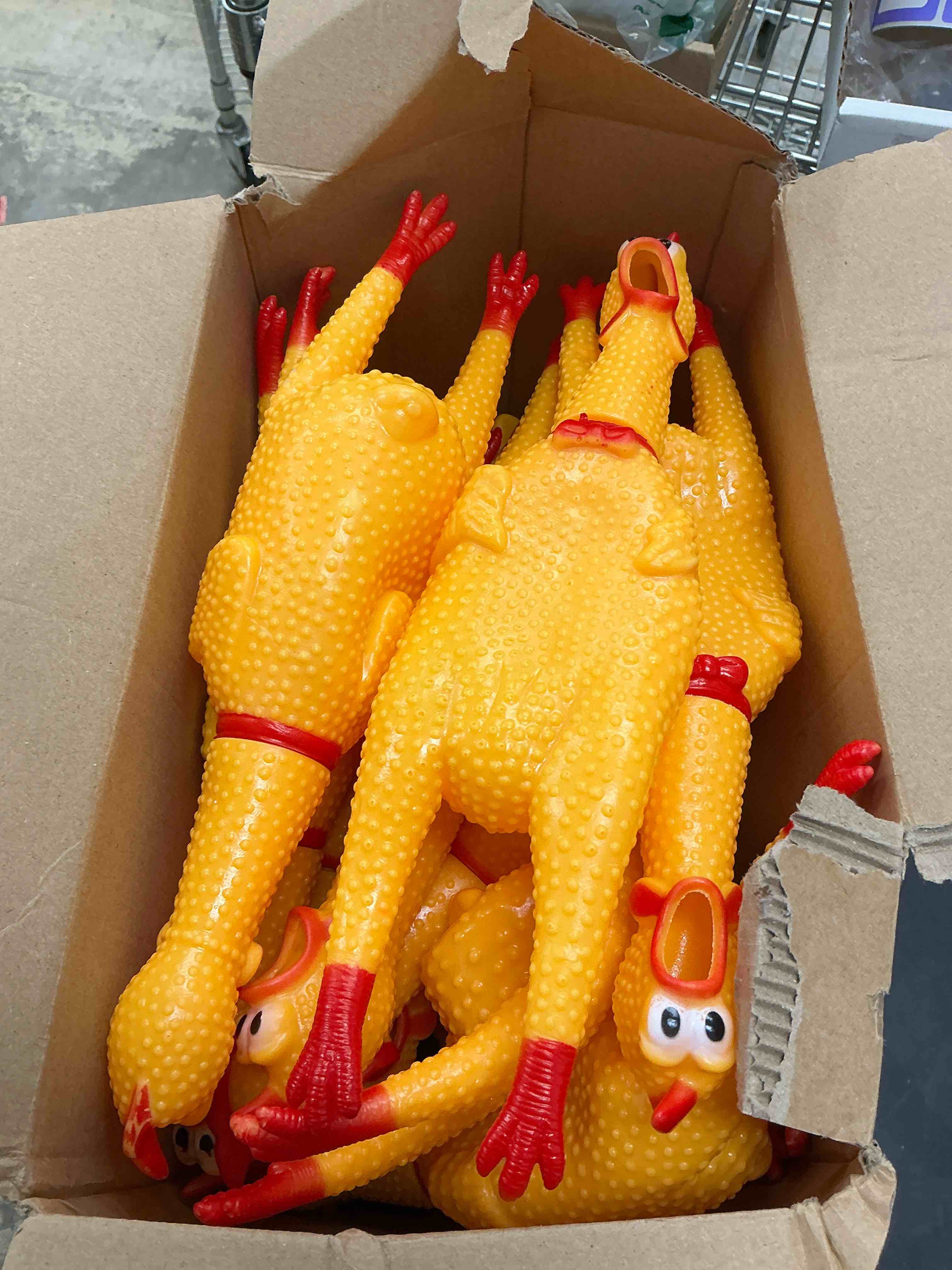 Condition photo showing New/Like New for Honoson 32 Pcs 12'' Rubber Chicken Dog Toy Squeeze Screaming Chicken Toy Novelty Squeaky Squawking Loud Noise Makers for Adults Dogs Pets Reduce Separation Stress Anxiety(Yellow)