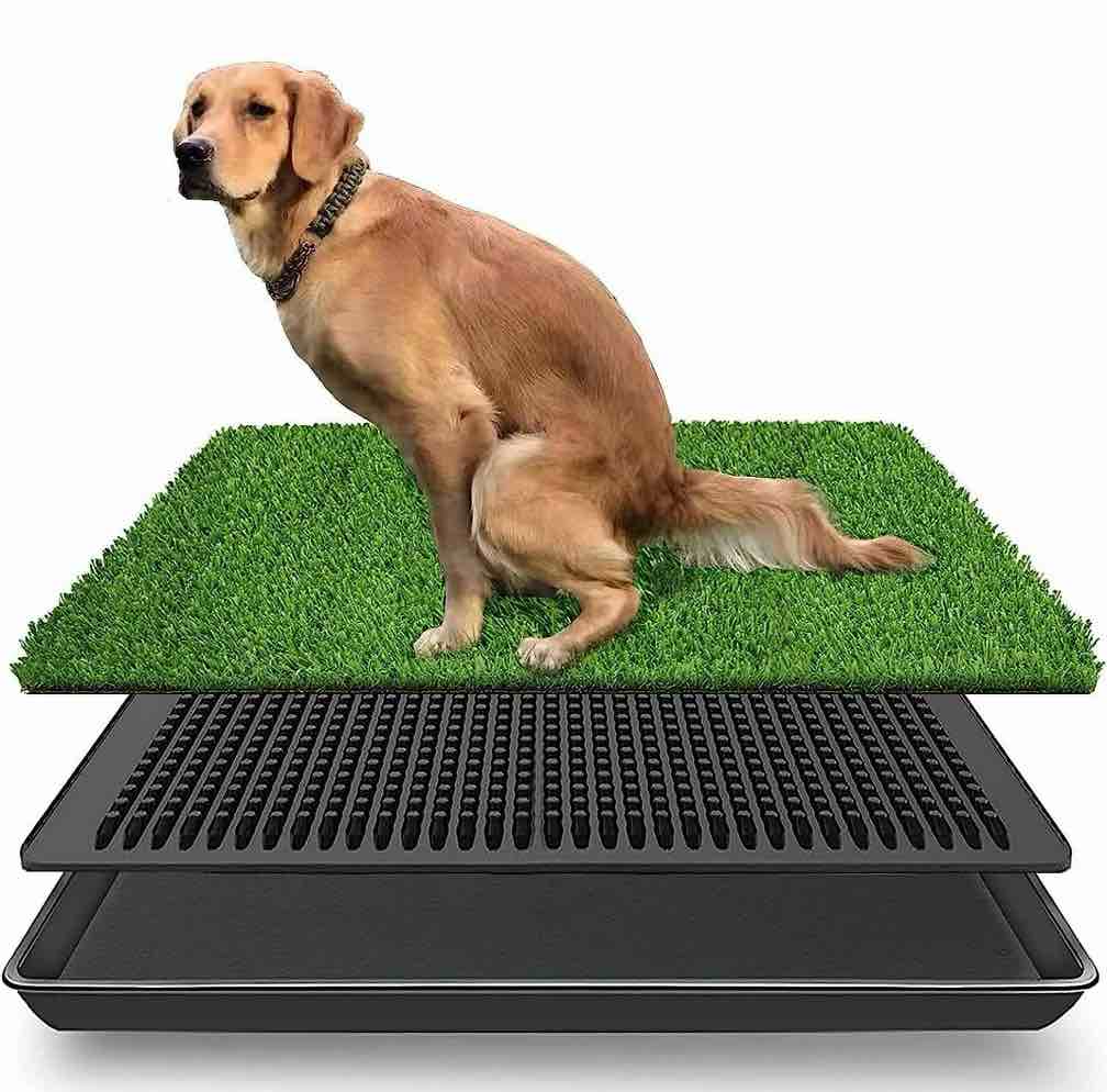 lomantown fake grass dog potty pad portable dog turf trainer grass with tray  30 x20