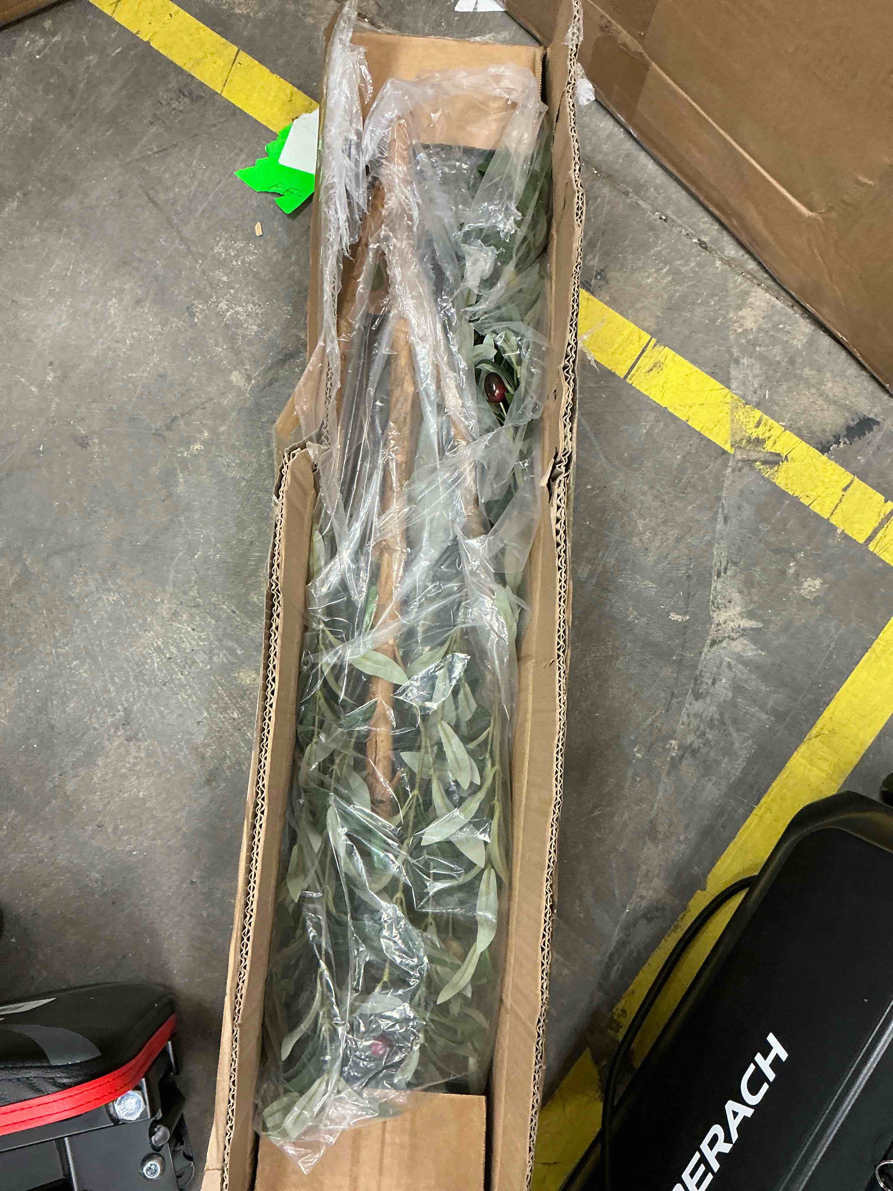Condition photo showing Good Condition for 5 ft artificial olive plants with realistic leaves and natural trunk, silk fake olive tree in black plastic pot, faux olive tree for office home