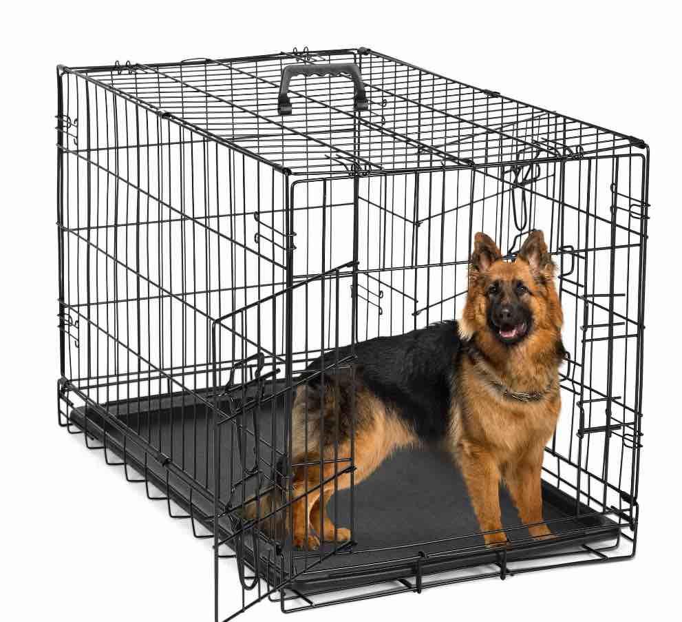 edx big dog crate with divider panel  48 inch double door folding metal wire dog cage with plastic leak-proof pan tray