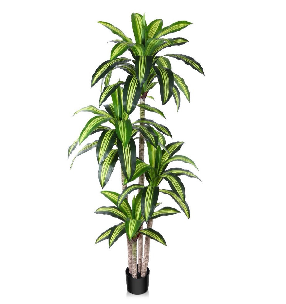 Condition photo showing Good Condition for artificial plants, 6ft fake dracaena tree in black plastic pot, faux plants indoor outdoor decor, silk plants for home decor office porch patio perfect housewarming gift