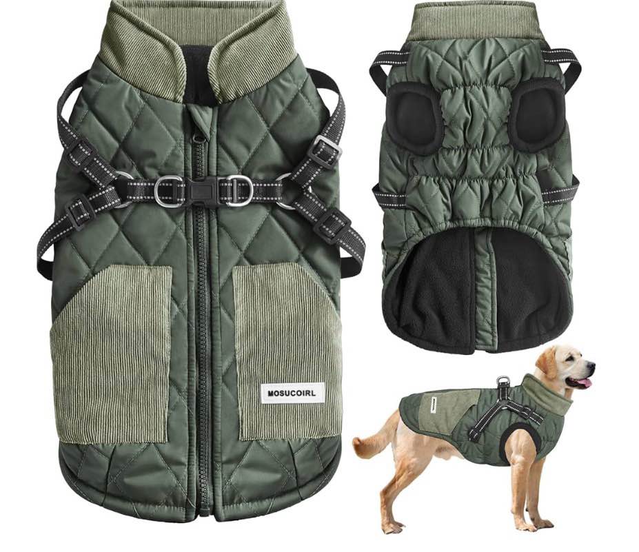 Condition photo showing Good Condition for mosucoirl warm dog coats vest, waterproof dogs jacket reflective fleece pet winter cold weather coat dogs clothes cozy snow jackets outfits for small medium large dogs puppy (grey, xl) xl green