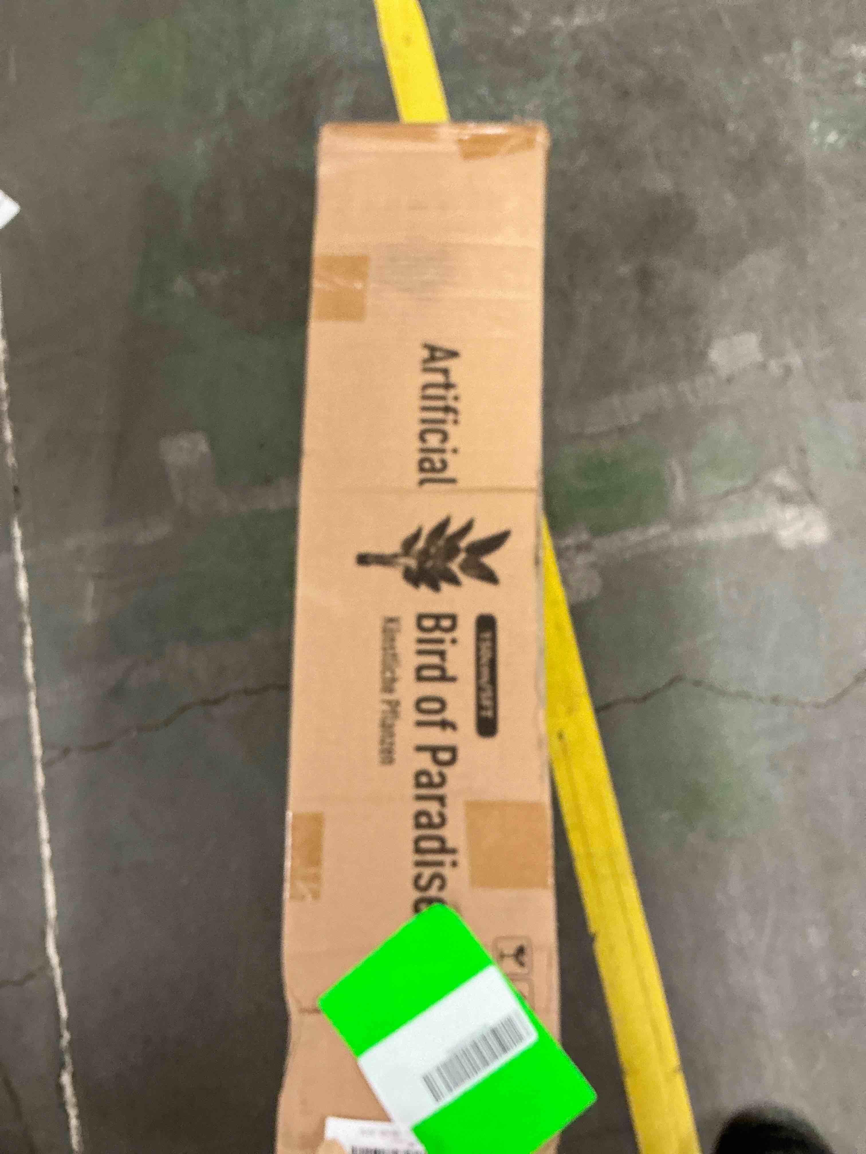 https://s3.amazonaws.com/lotting-images-prod/EmanualPiazza/PPE4063364_1777310866567.jpeg