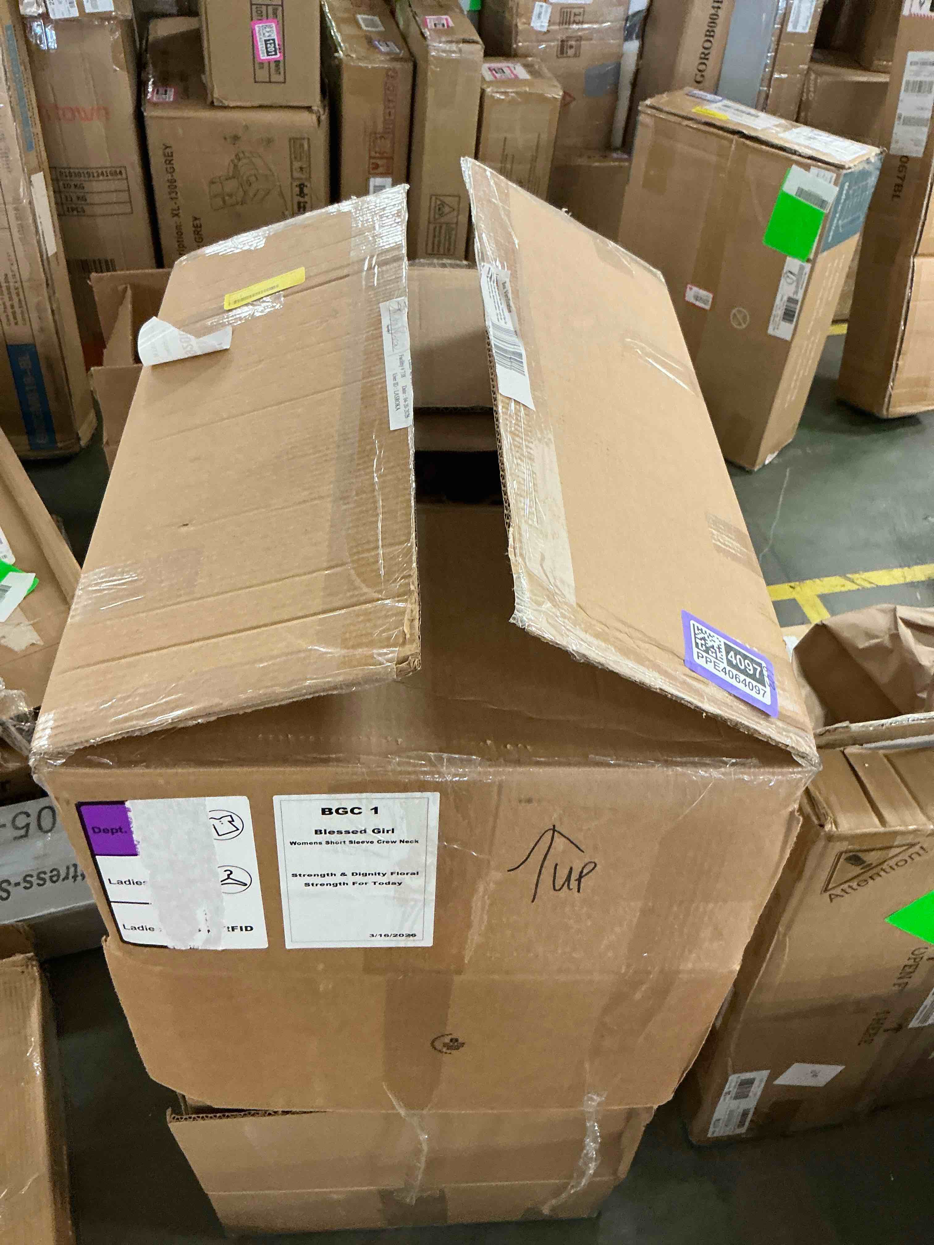 https://s3.amazonaws.com/lotting-images-prod/EmanualPiazza/PPE4064097_1778509259608.jpeg