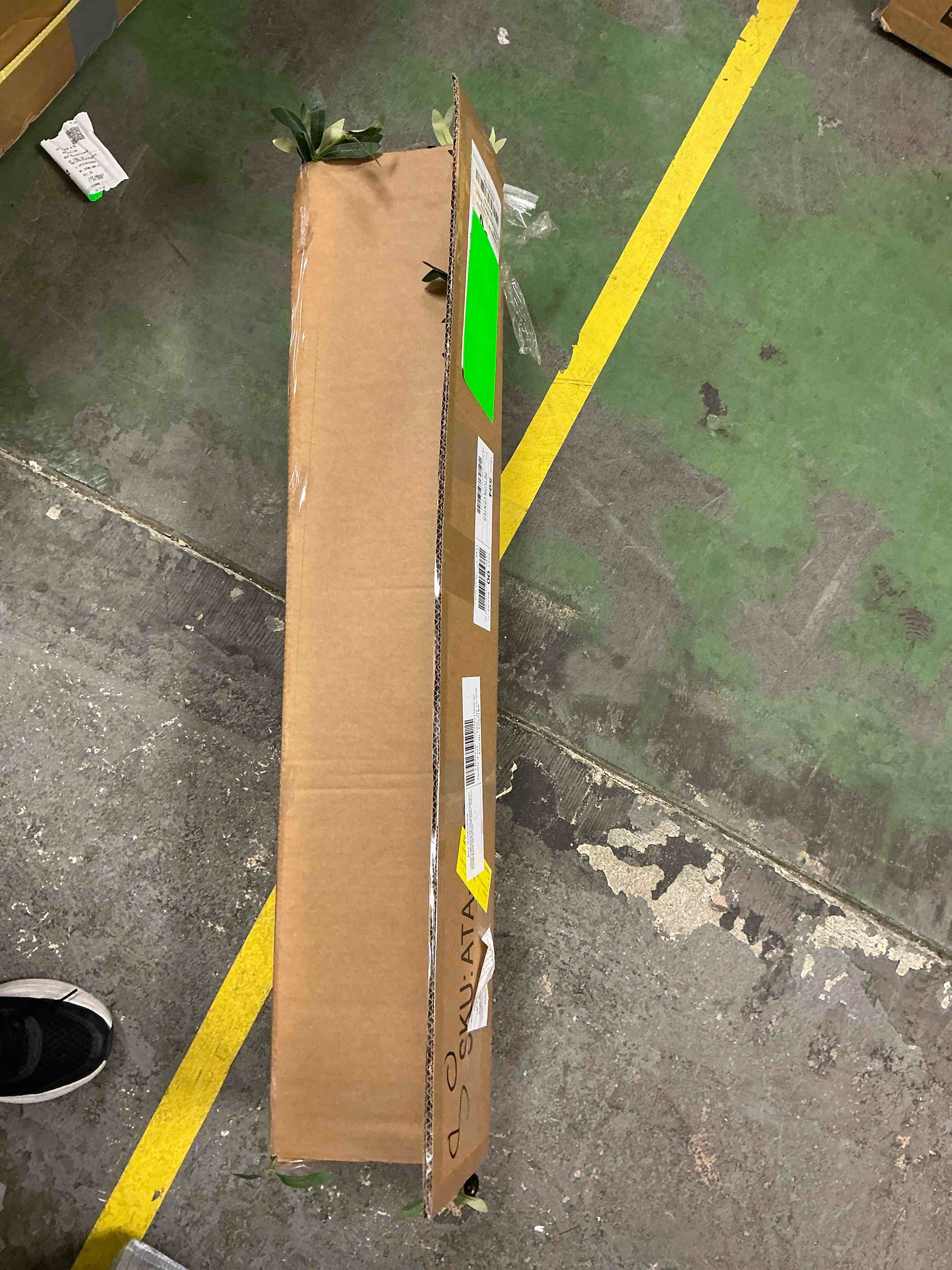 https://s3.amazonaws.com/lotting-images-prod/EmanualPiazza/PPE4064123_1778686056273.jpeg