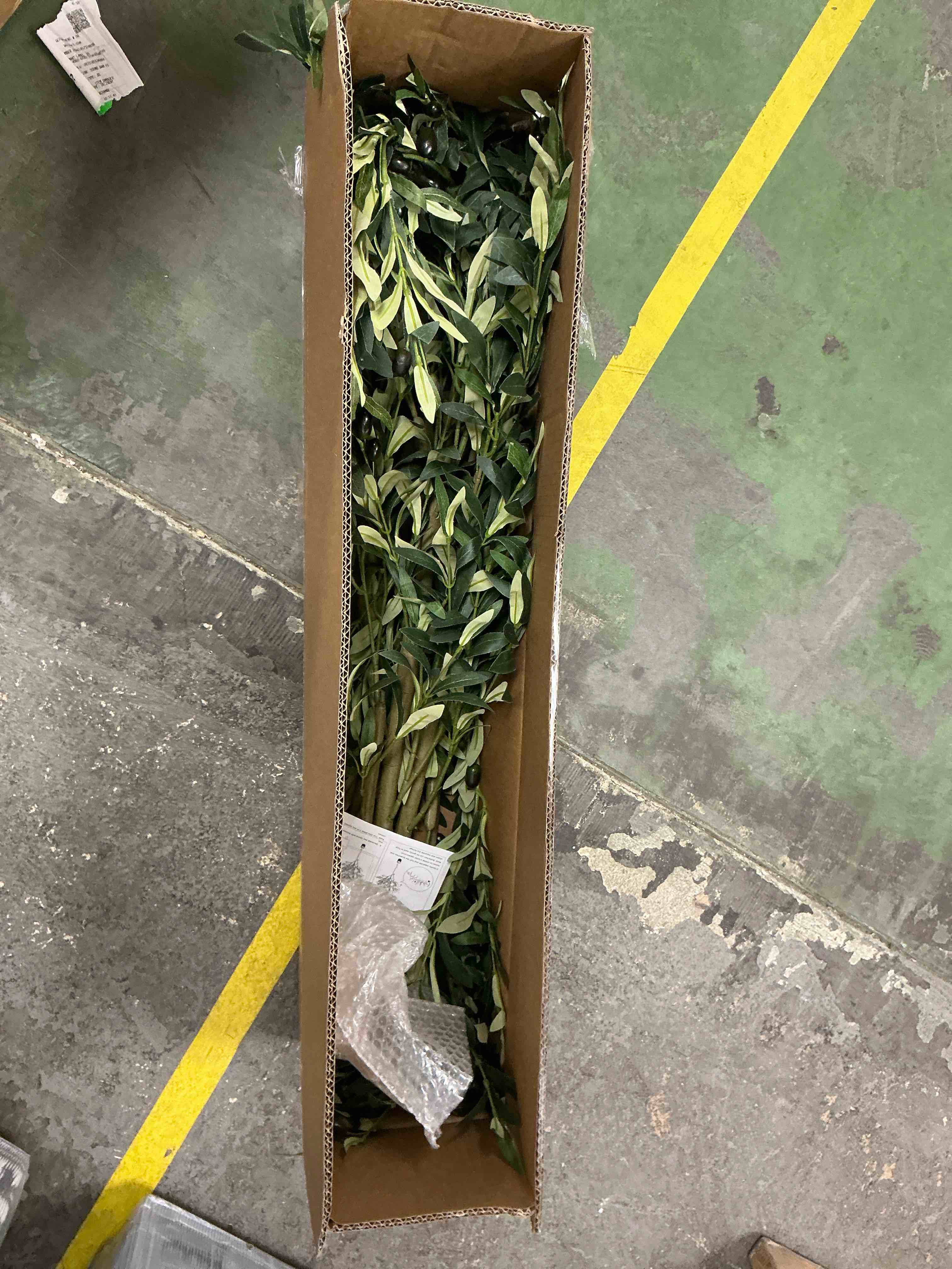 https://s3.amazonaws.com/lotting-images-prod/EmanualPiazza/PPE4064123_1778686069047.jpeg