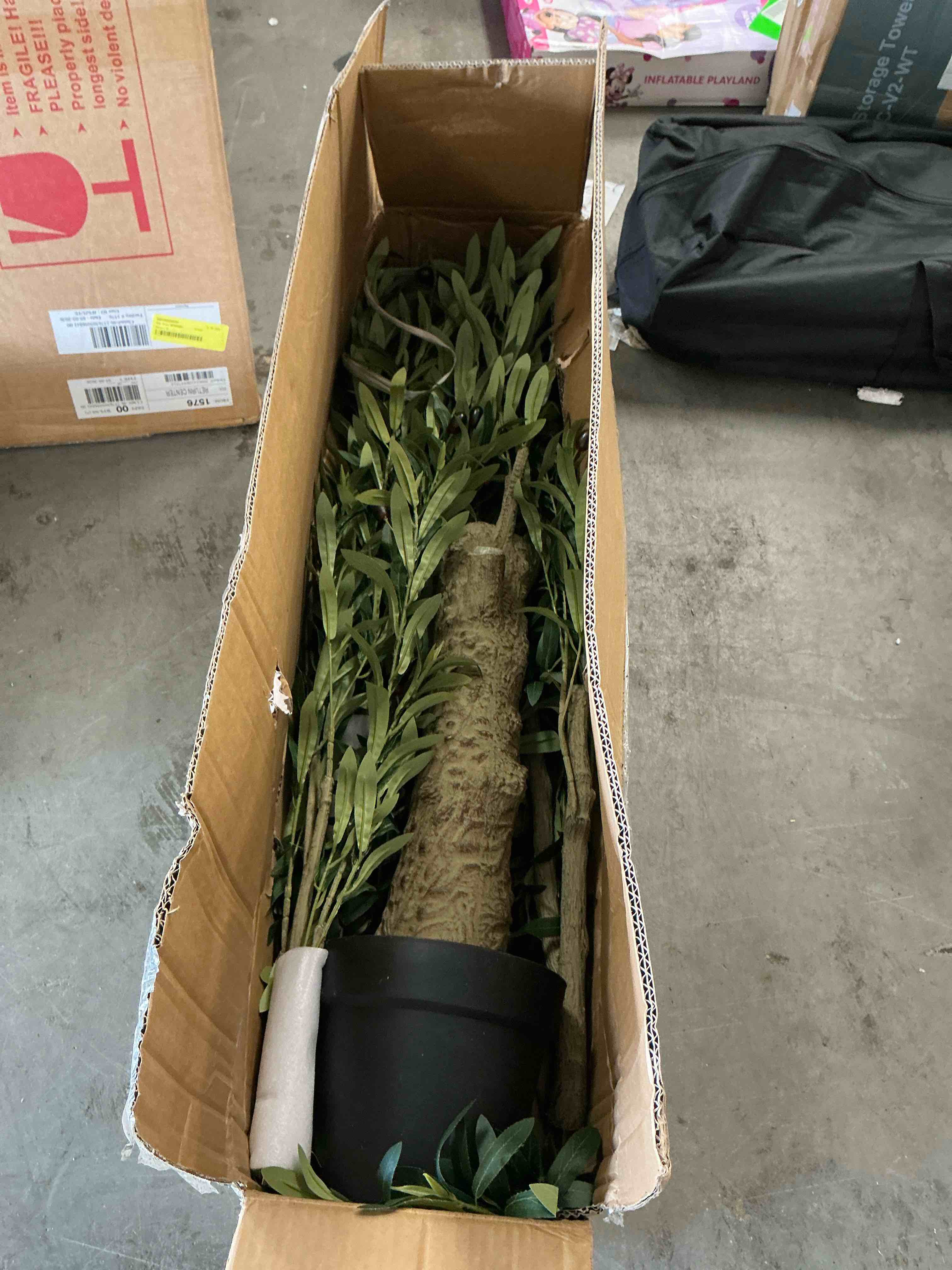 https://s3.amazonaws.com/lotting-images-prod/EmanualPiazza/PPE4065408_1779910123706.jpeg