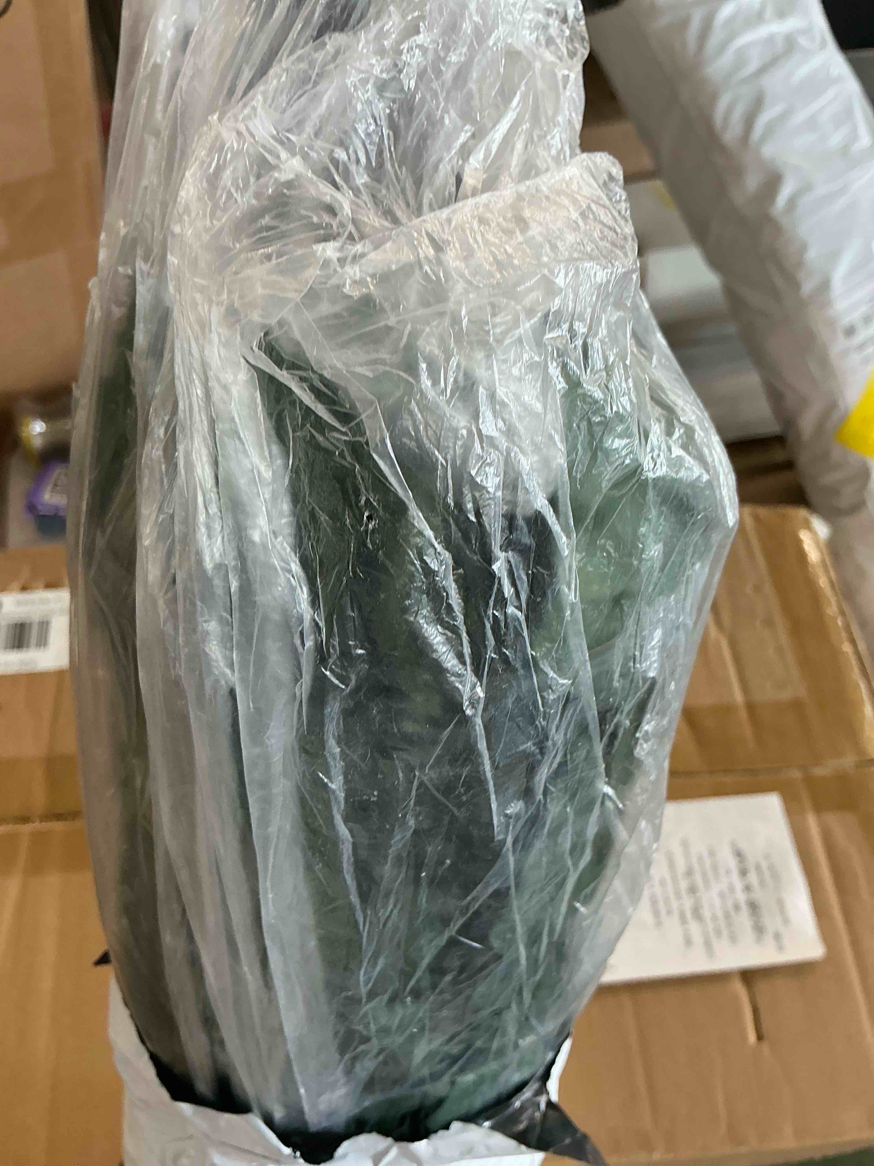 https://s3.amazonaws.com/lotting-images-prod/EmanualPiazza/PPE4065419_1779908769728.jpeg