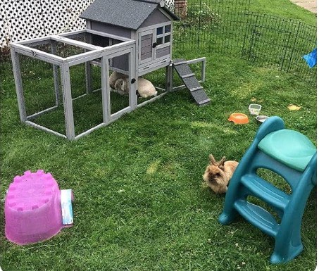 aivituvin rabbit hutch indoor outdoor bunny cage rabbit cage with run, deeper no leak tray, weatherproof