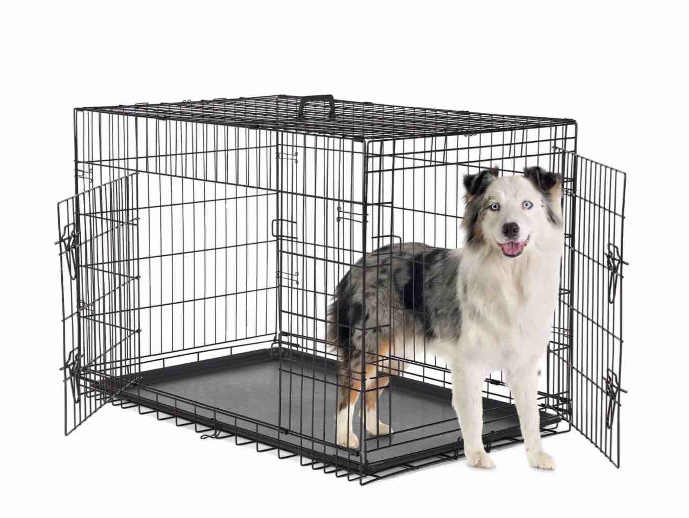 concetta 42 inch double-door folding dog crate, portable small cage with divider, leak-proof tray