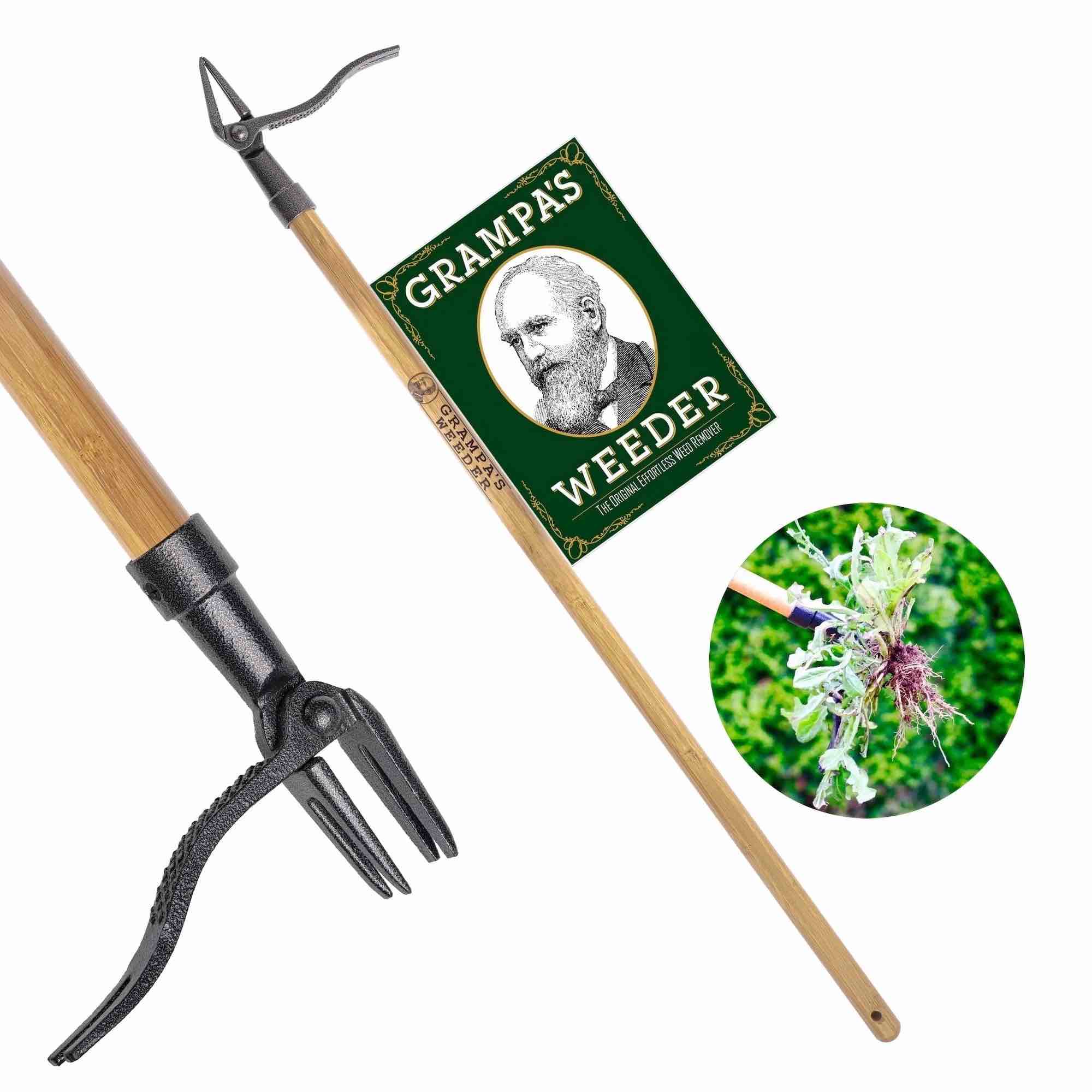grampa s weeder - the original stand up weed puller tool with long handle - made with 4-claw steel head design - easily remove weeds without bending pulling or kneeling