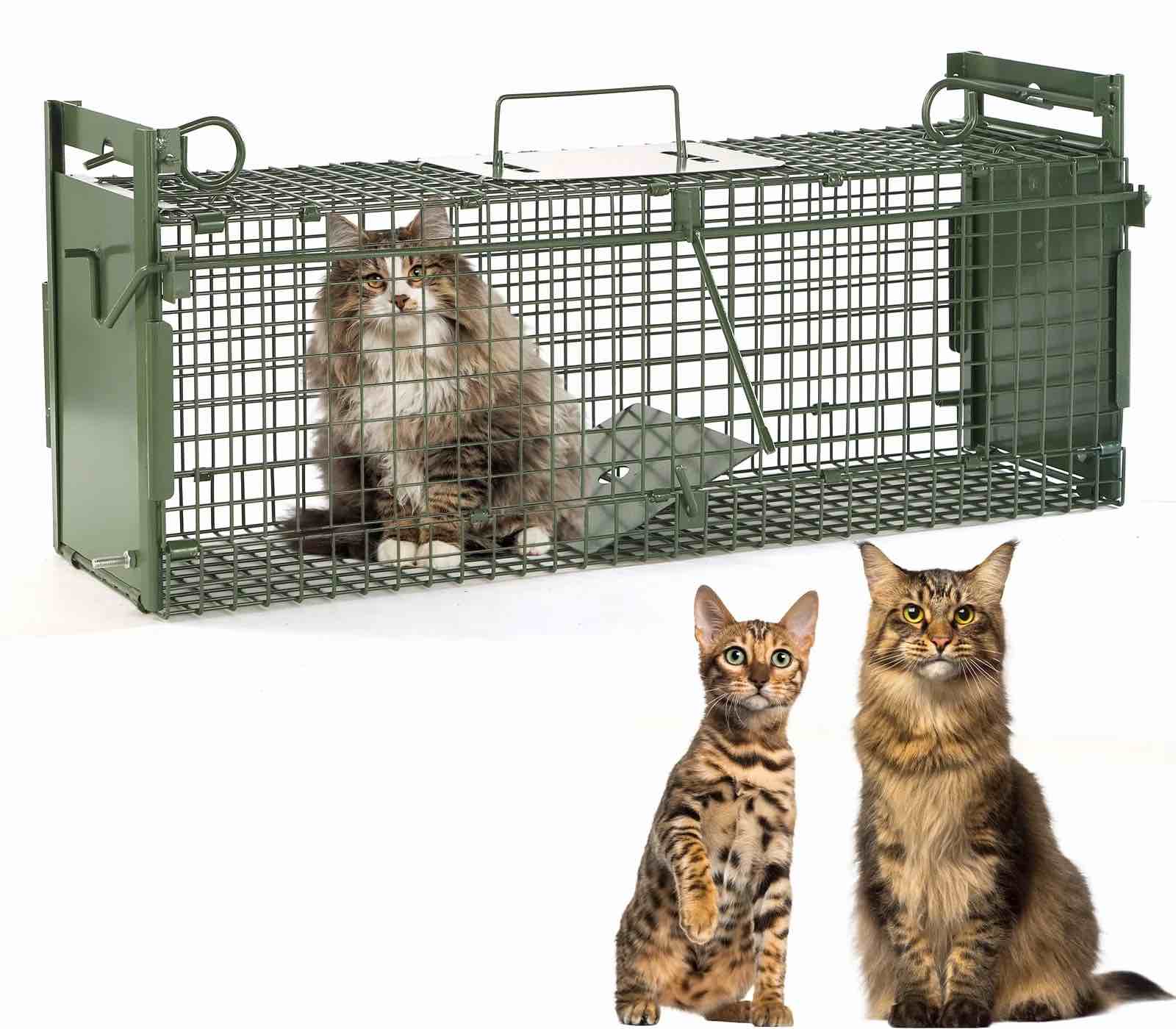 40" 2-door large live animal traps for stray cats up to 17.6 pounds, raccoons, squirrel
