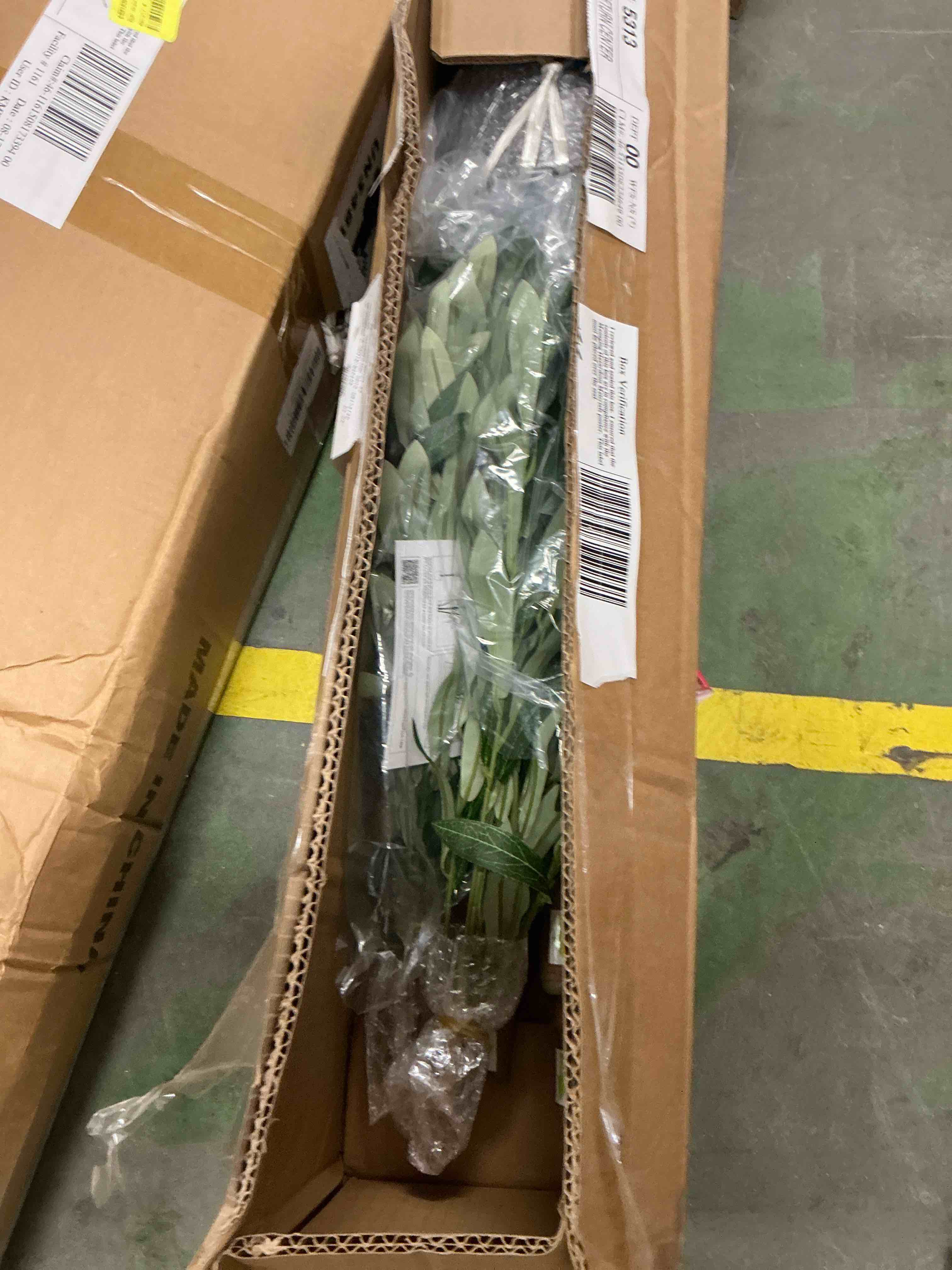https://s3.amazonaws.com/lotting-images-prod/EmanualPiazza/PPE4068994_1789228562952.jpeg