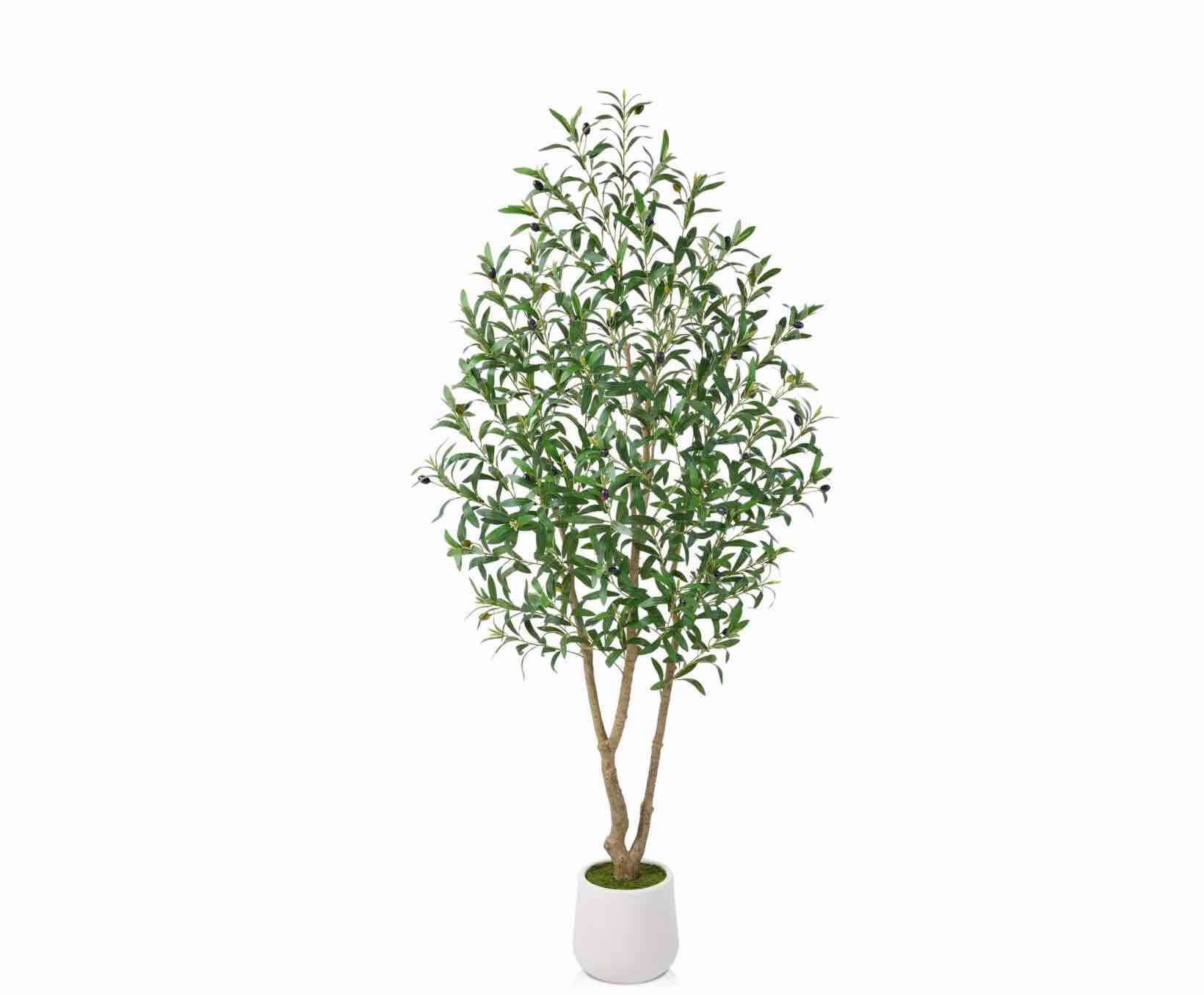 DR.Planzen 6ft Dense Artificial Olive Tree - Faux Olive Plant for Indoor & Outdoor Decor - Adjustable Branches - UV Resistant Realistic Olive Tree in White Planter